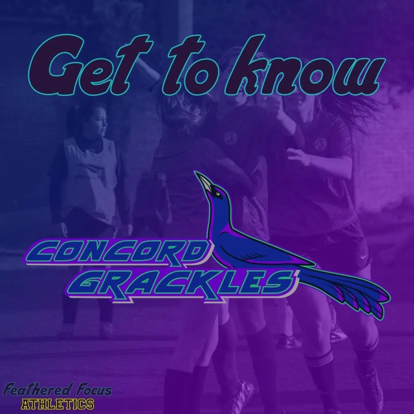 Get to know the winningest team in the league: the Grackles! 
.
.
.
.
.
#birdillustration #birding #birdart #illustration #independentartist #sport #grackles #grackle