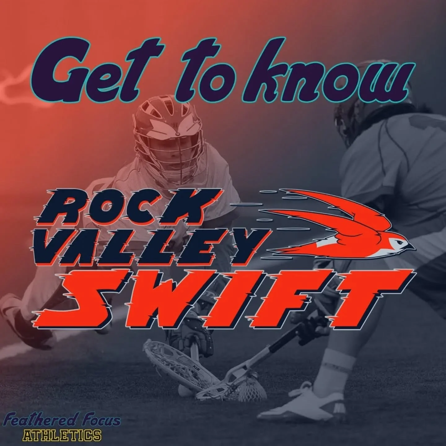 One of the less successful teams, the Swift are nonetheless popular in the Rock Valley metro area! 
.
.
.
.
.
.
#birdillustration #birding #birdart #illustration #independentartist #sport #swift #whitethroatedswift