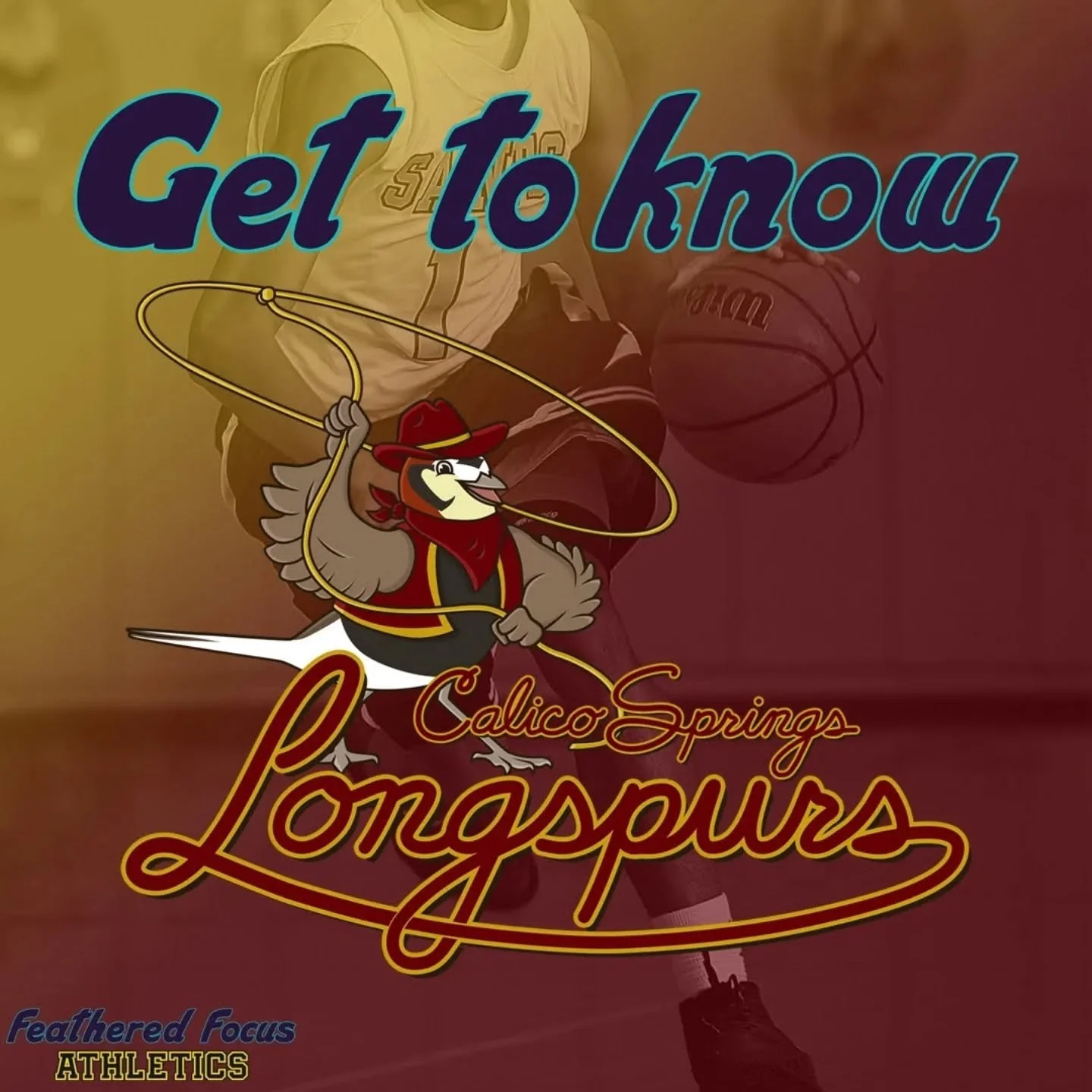 Get to know 2-time champions the Calico Springs Longspurs
.
.
.
.
.
#birdillustration #birding #birdart #illustration #independentartist #natureart #sport #longspur #chestnutcollaredlongspur