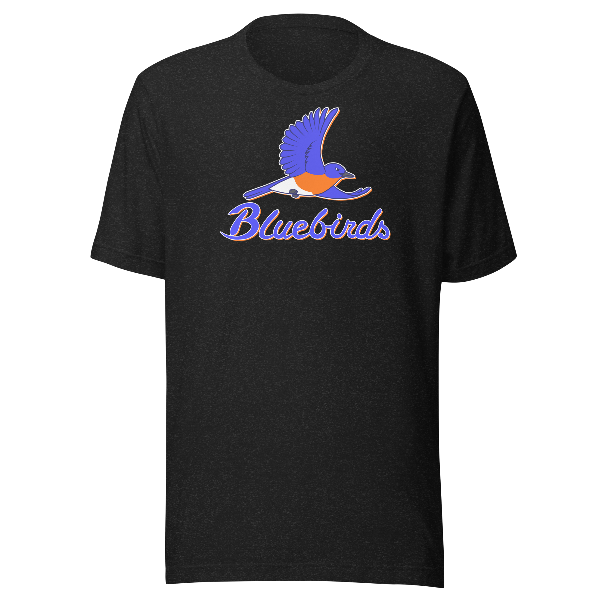 unisex-staple-t-shirt-black-heather-front-68b622e5595e1.png