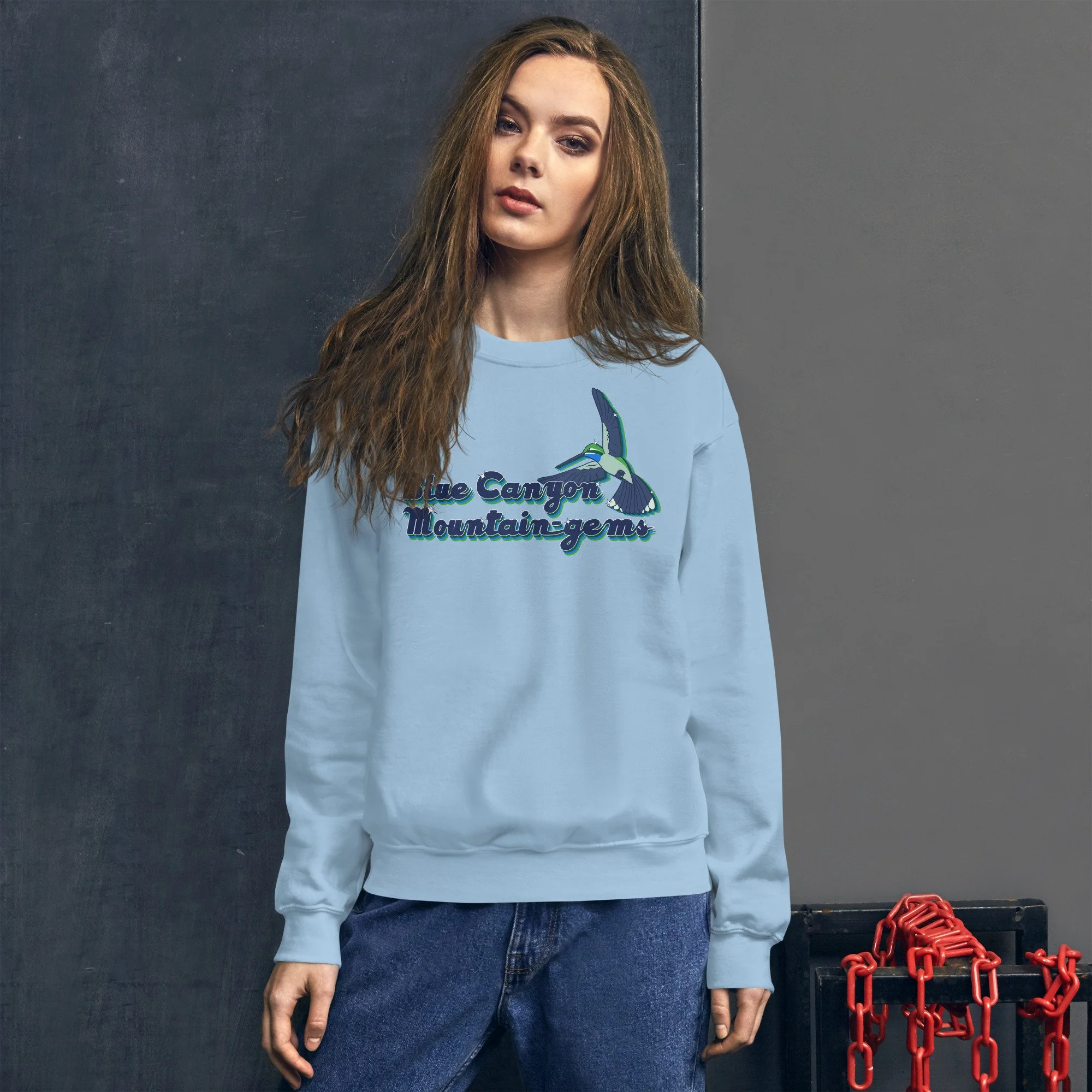 unisex-crew-neck-sweatshirt-light-blue-front-693d70e543e6f.jpg