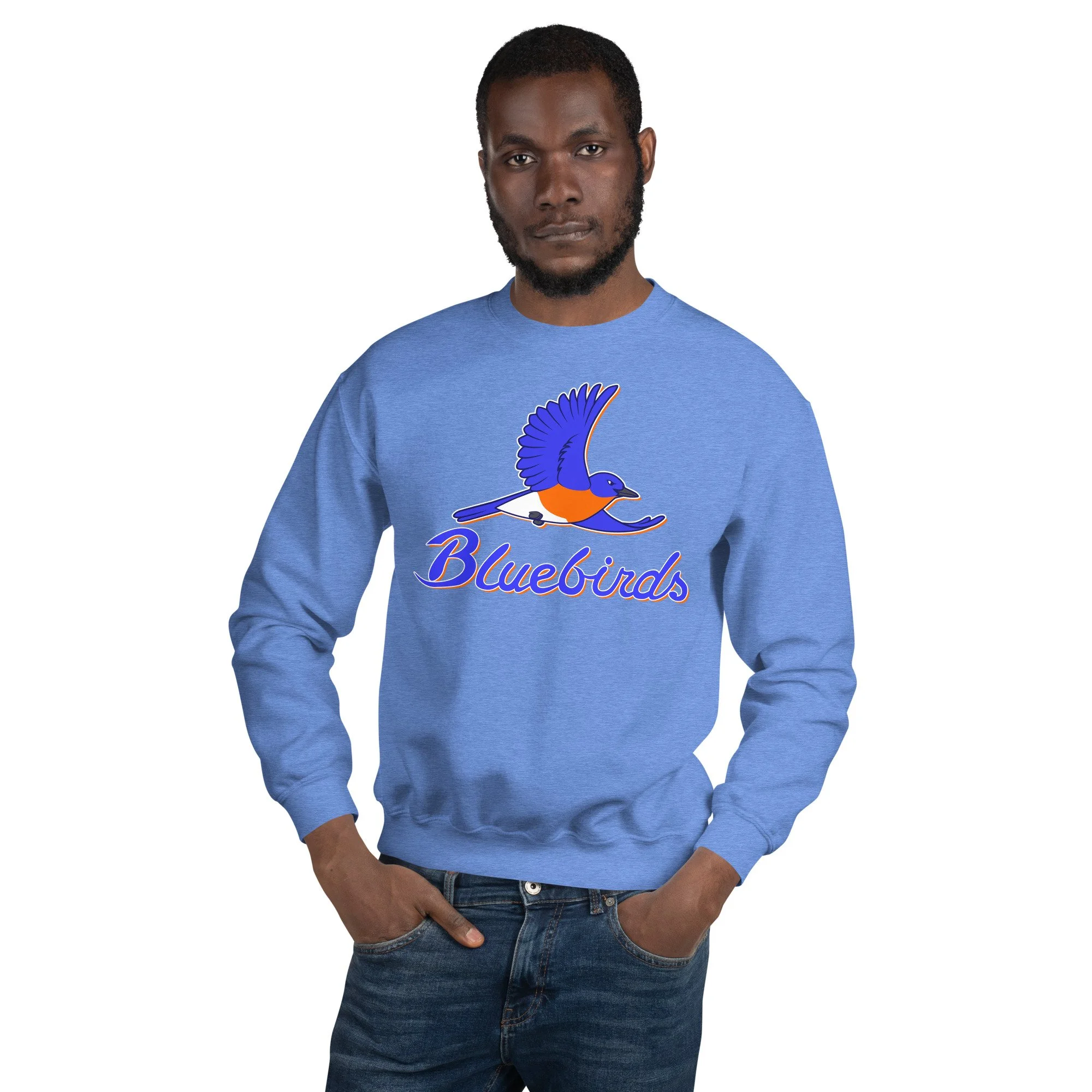 unisex-crew-neck-sweatshirt-heather-deep-royal-front-693c28ad47adb.jpg