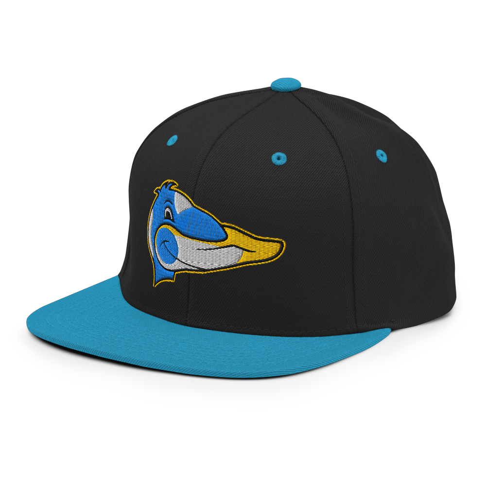 classic-snapback-black-teal-left-front-68b5fdae1c4bd.png