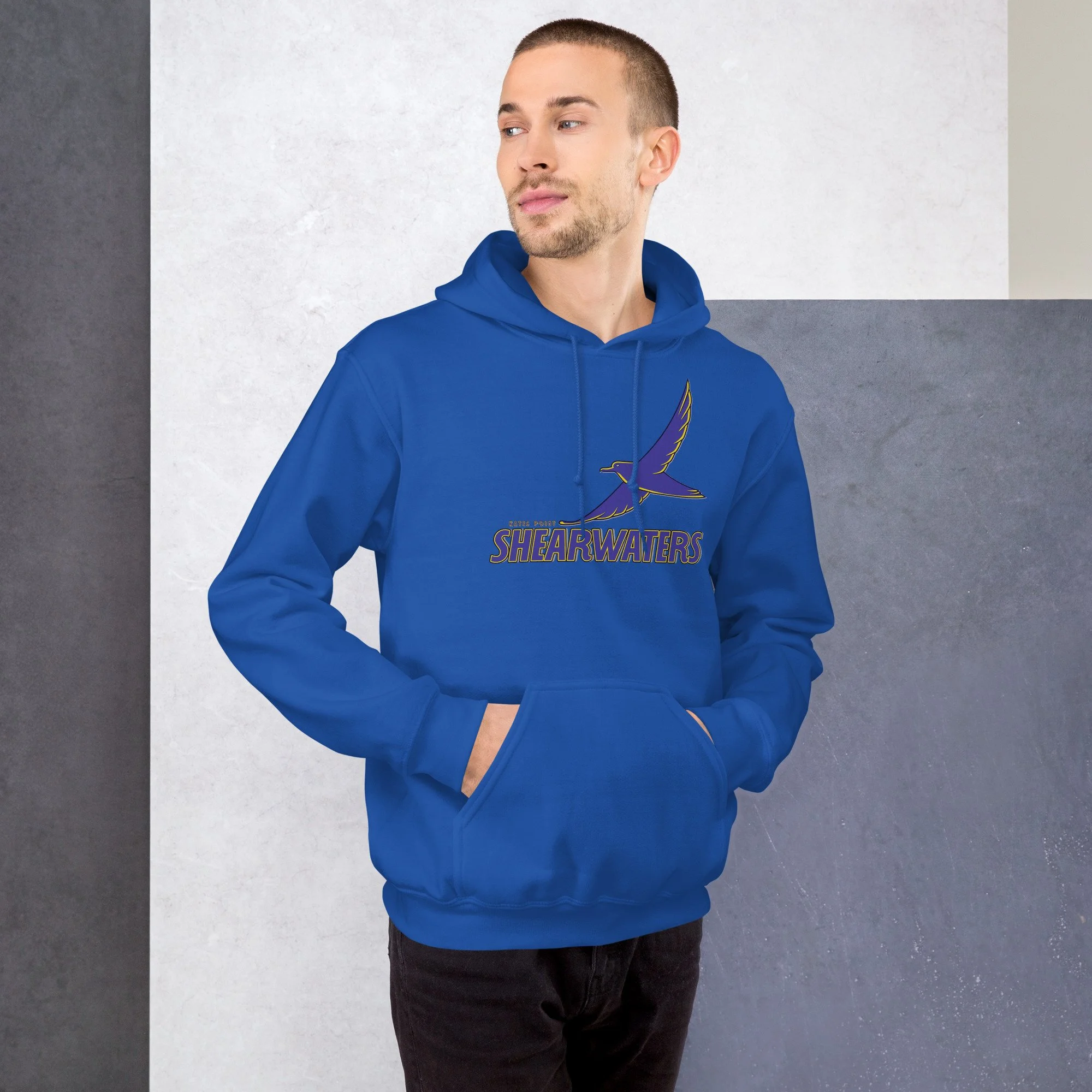 unisex-heavy-blend-hoodie-royal-front-68b88d6652f0e.jpg