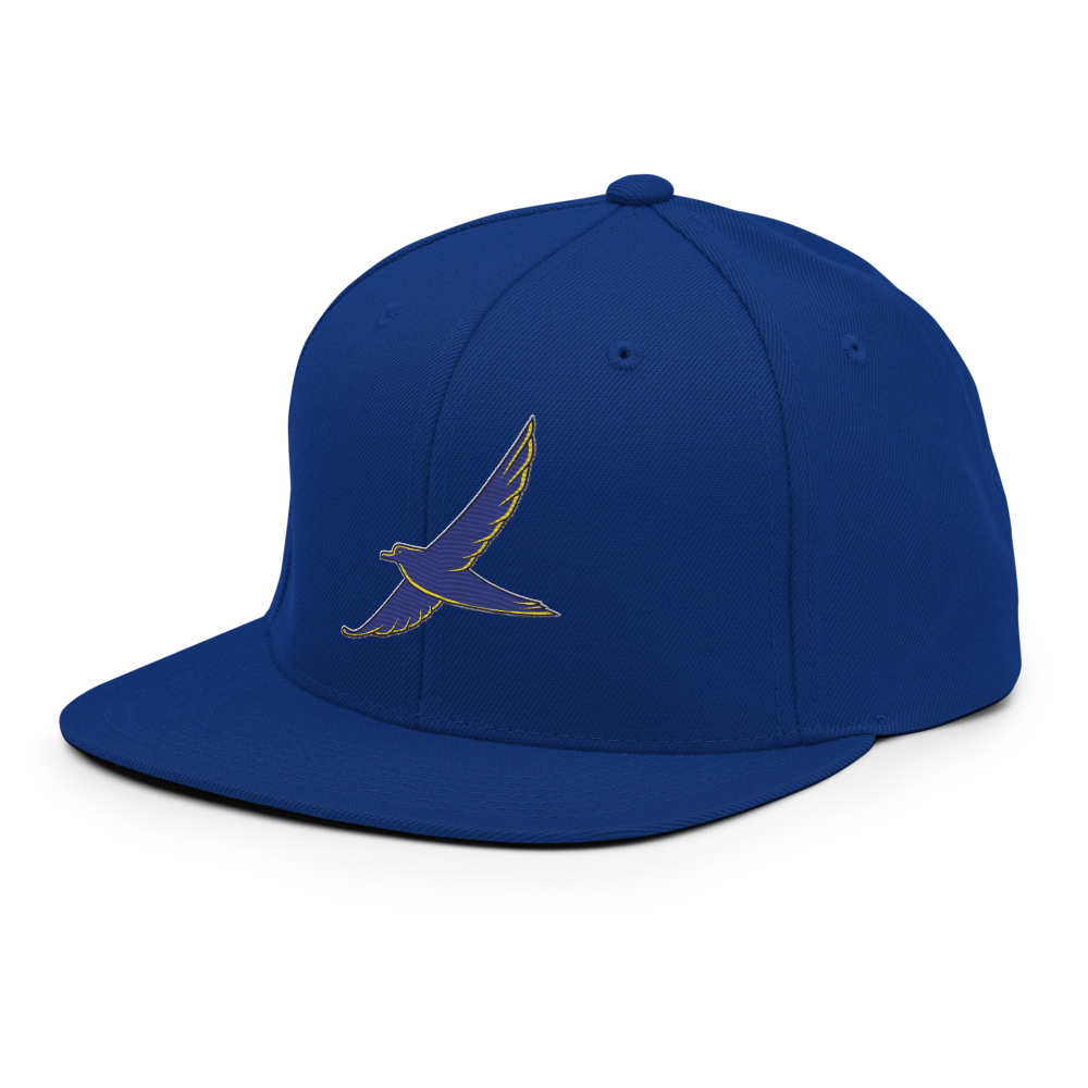 classic-snapback-royal-blue-left-front-68b5ffd9d62b2.png