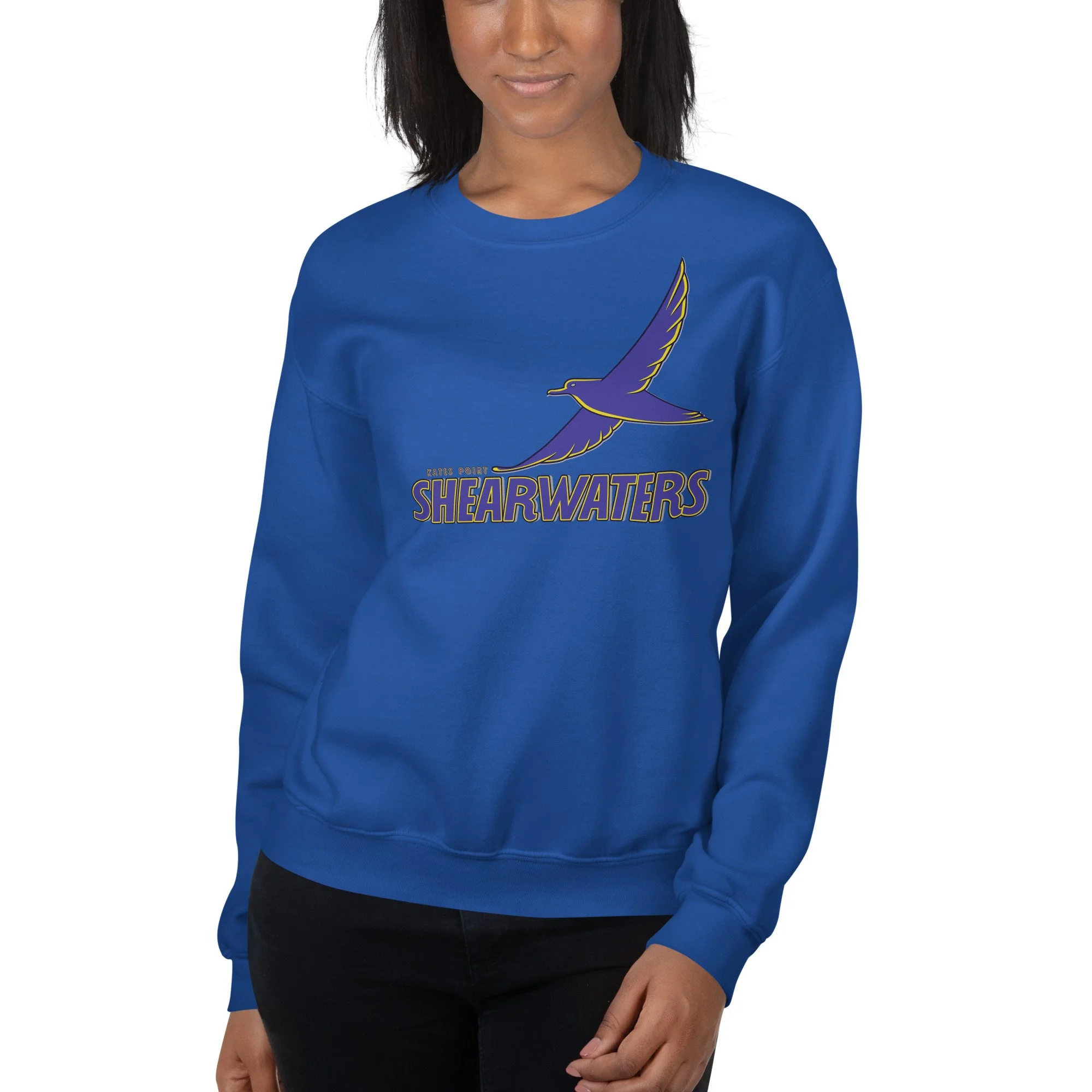 unisex-crew-neck-sweatshirt-royal-front-693e3cd6c93cb.jpg