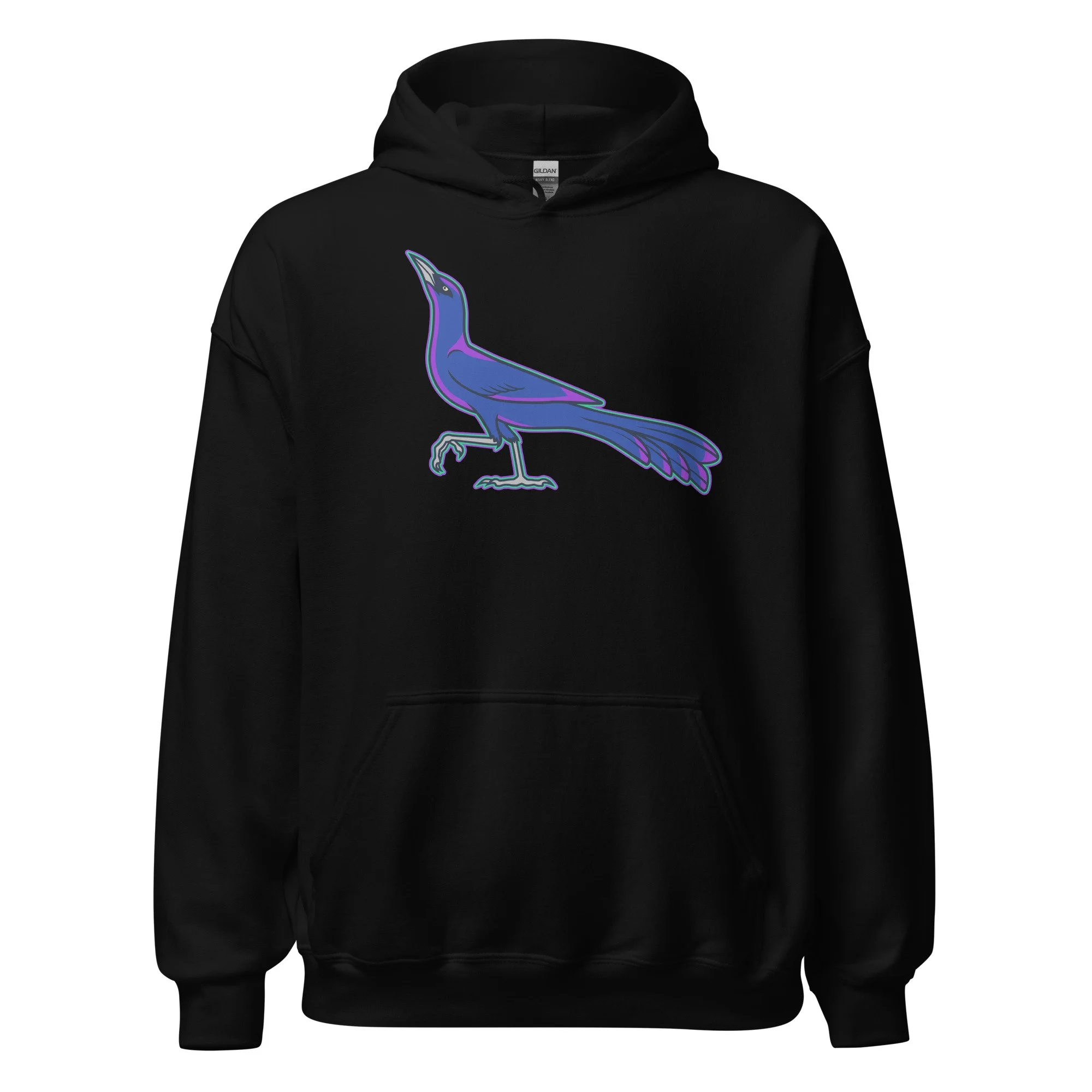 unisex-heavy-blend-hoodie-black-front-68b669a7344c1.jpg