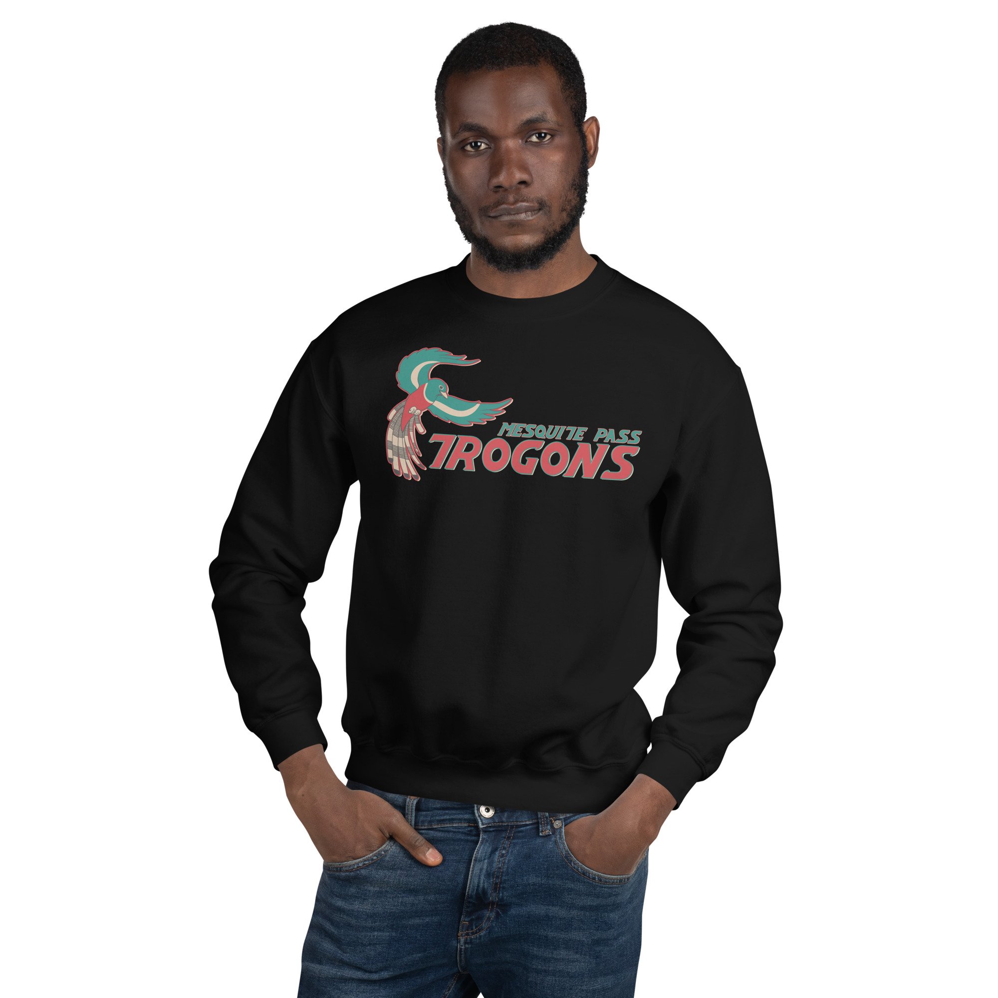 unisex-crew-neck-sweatshirt-black-front-693f8a30d783f.jpg