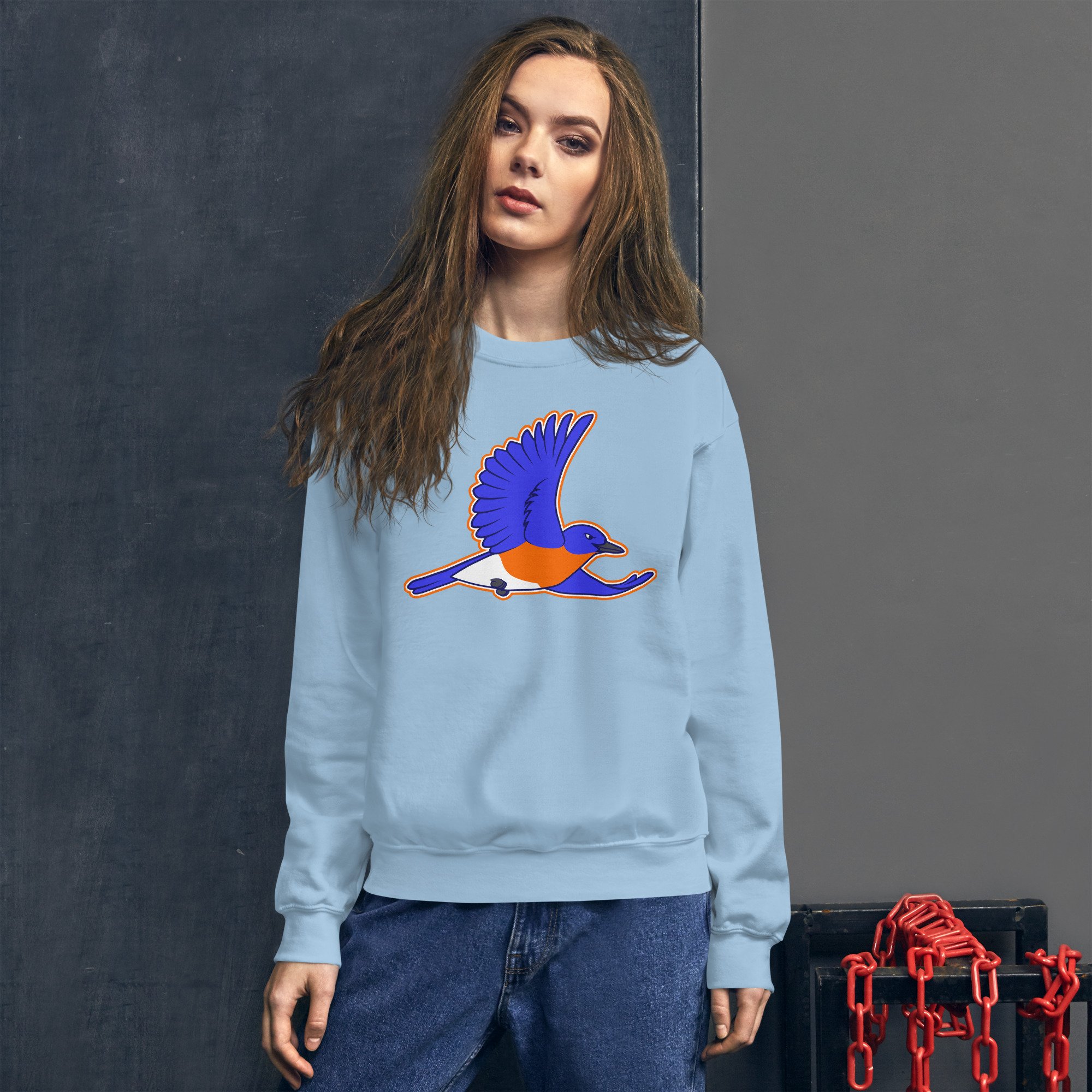 unisex-crew-neck-sweatshirt-light-blue-front-693c2d1a31dda.jpg