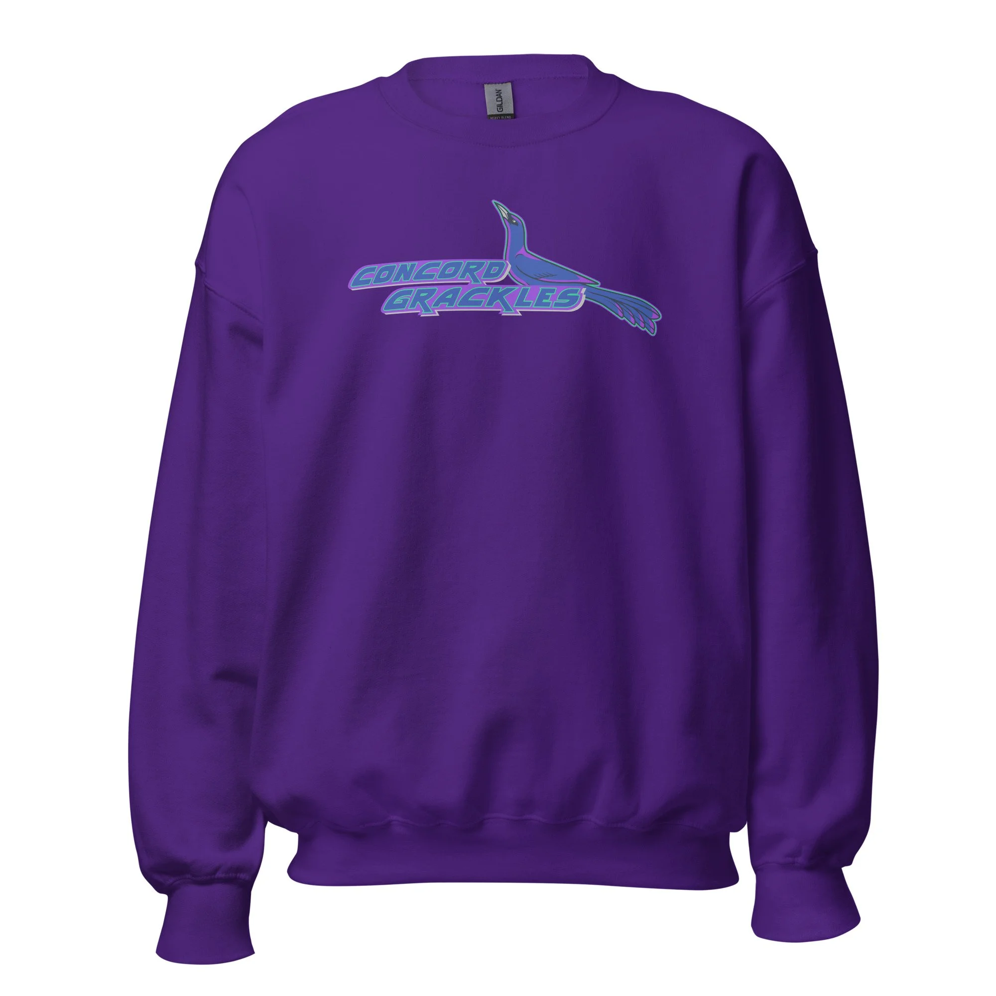unisex-crew-neck-sweatshirt-purple-front-693c49c0bd11f.jpg