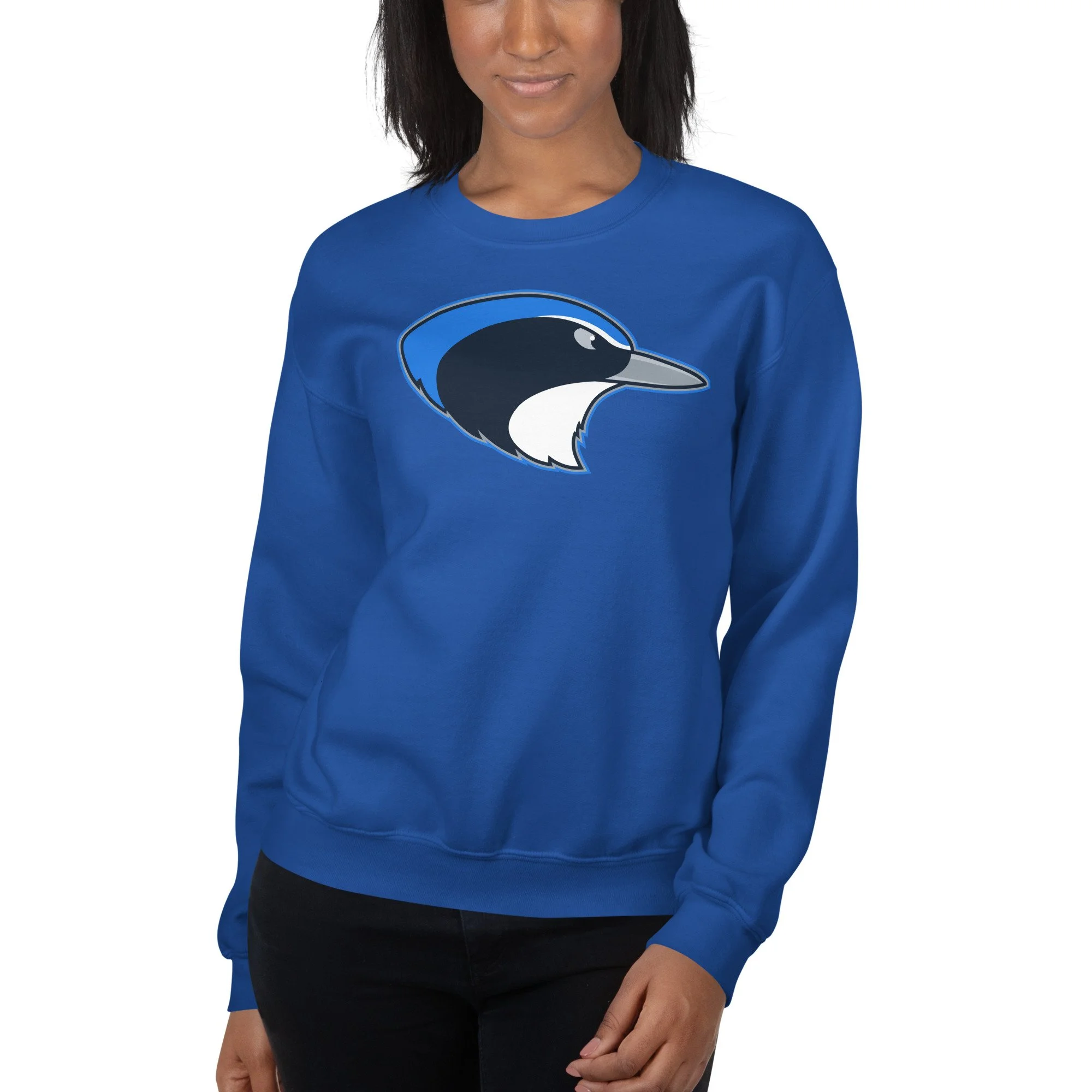 unisex-crew-neck-sweatshirt-royal-front-695c4a68263da.jpg