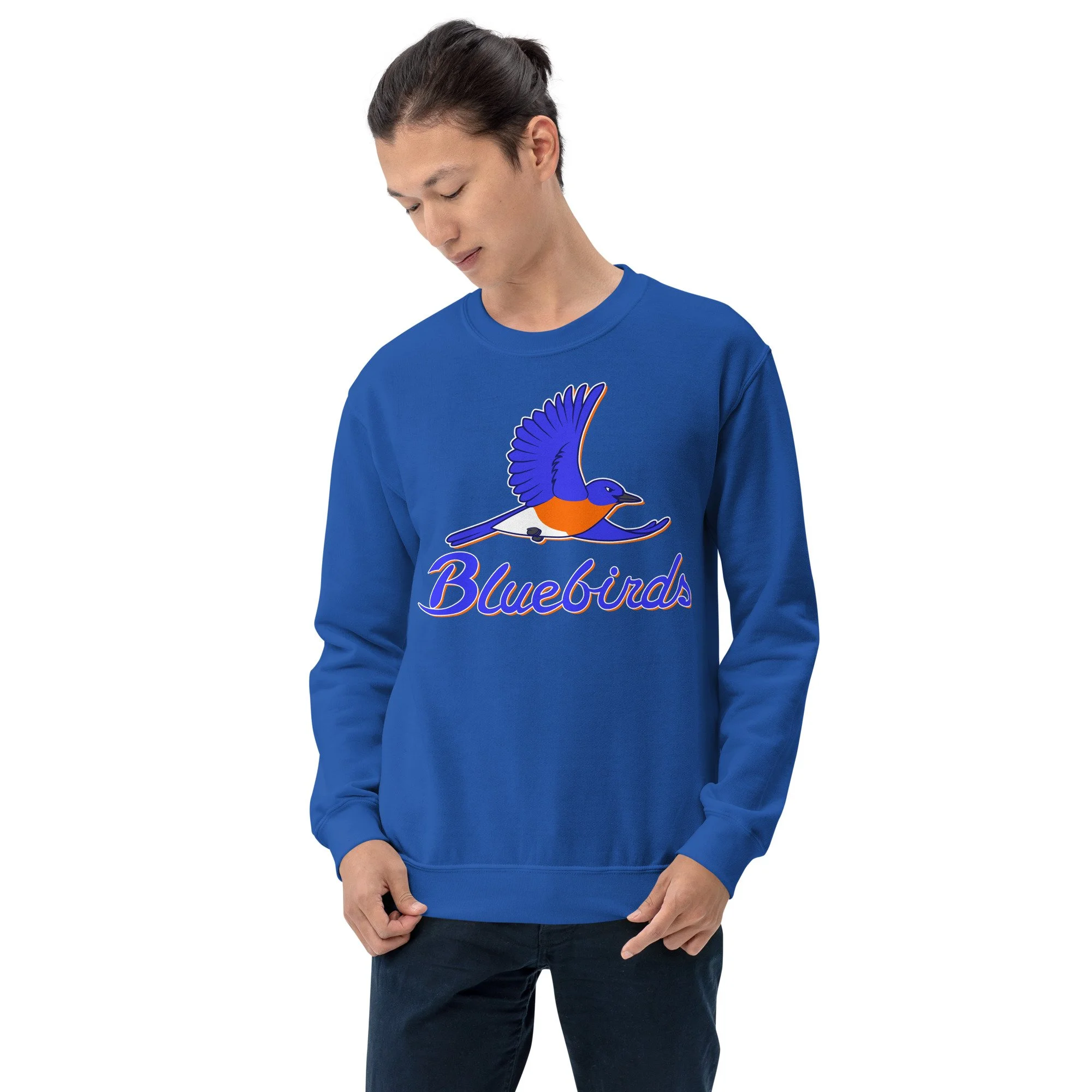 unisex-crew-neck-sweatshirt-royal-front-693c28ad495fd.jpg