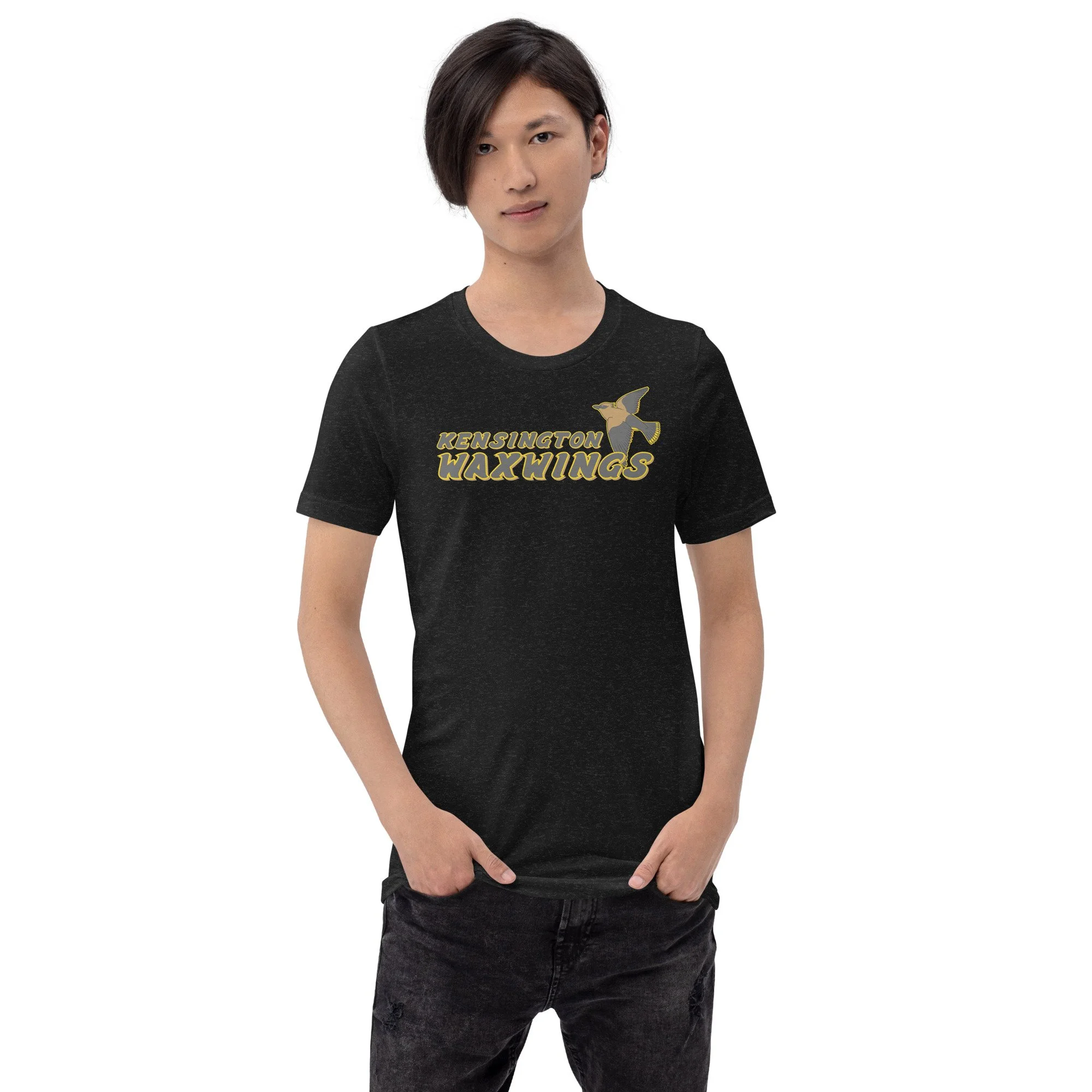 unisex-staple-t-shirt-black-heather-front-68ba4a1c0e4d7.jpg