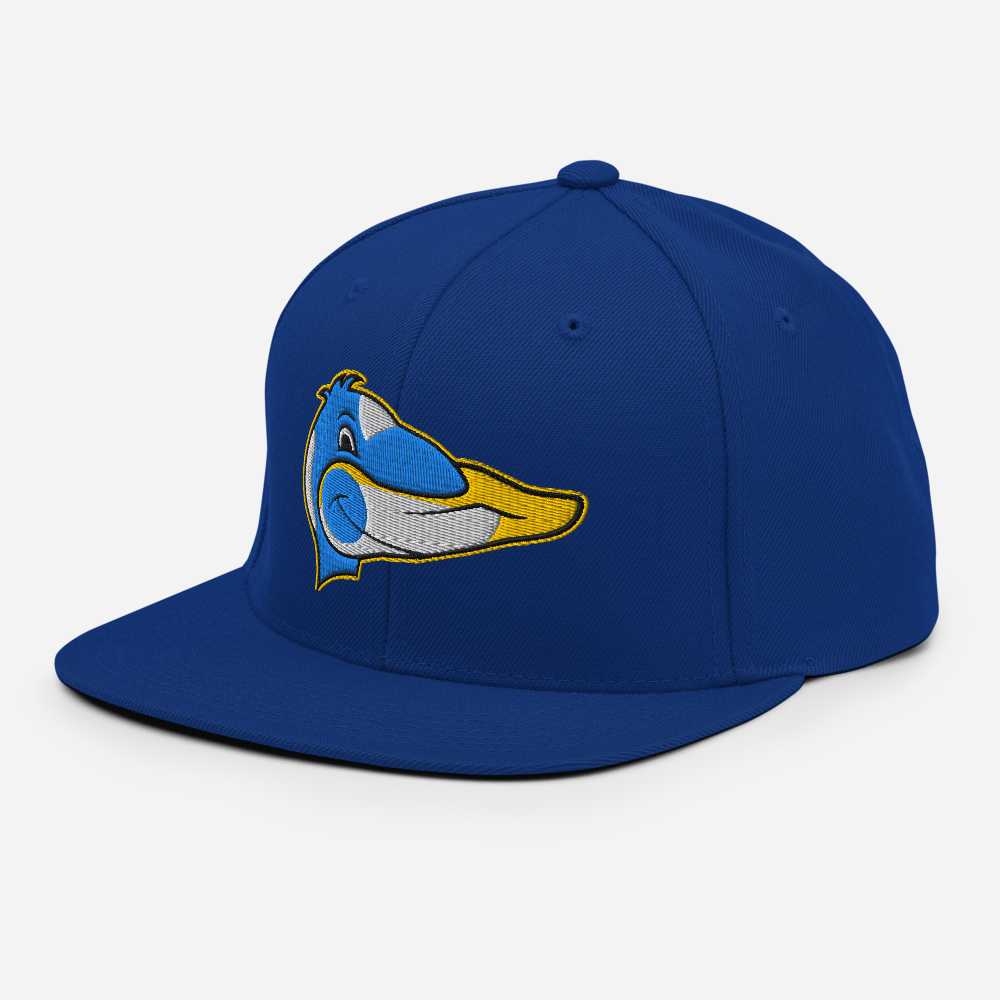classic-snapback-royal-blue-left-front-68b5fdae21eac.png