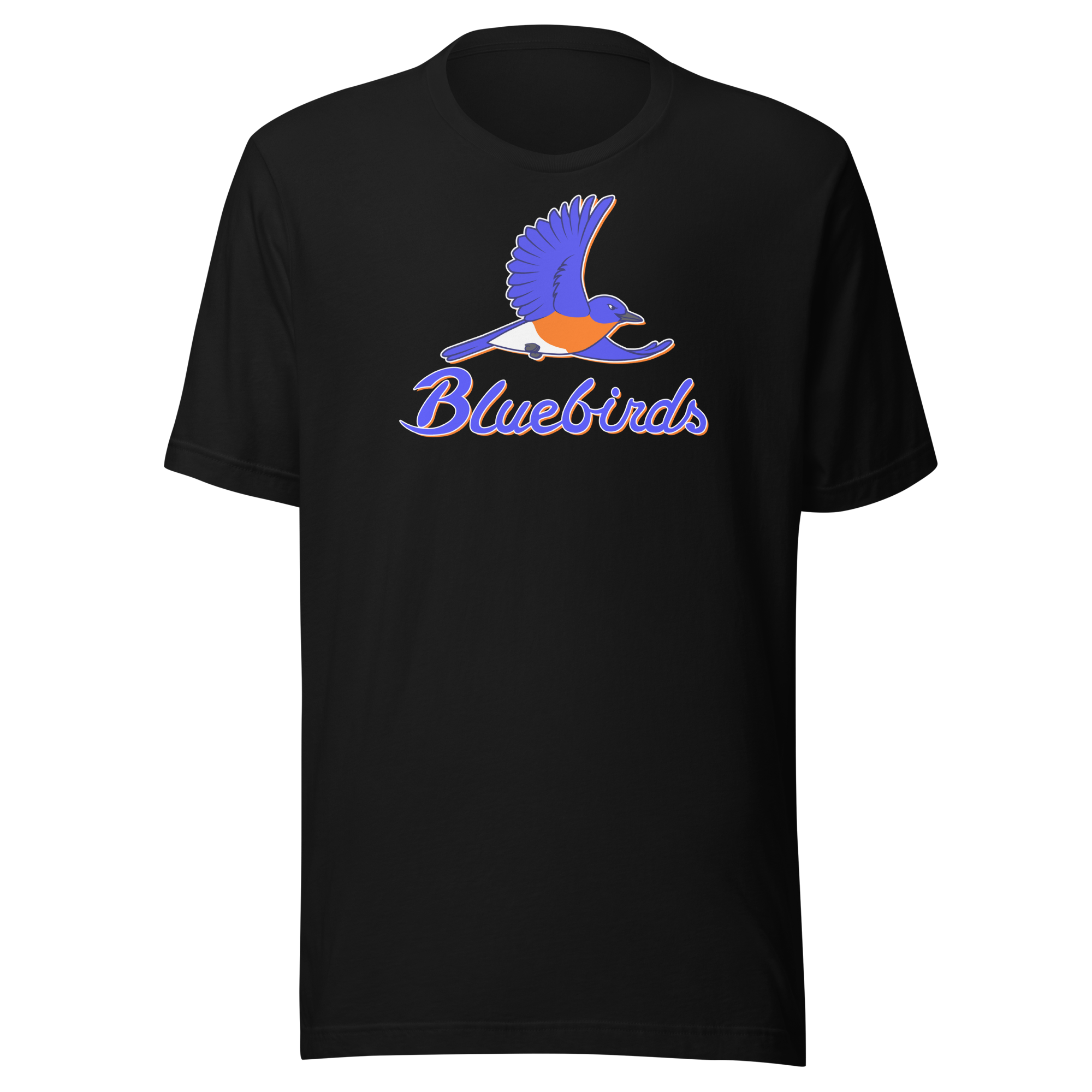 unisex-staple-t-shirt-black-front-68b622e559522.png