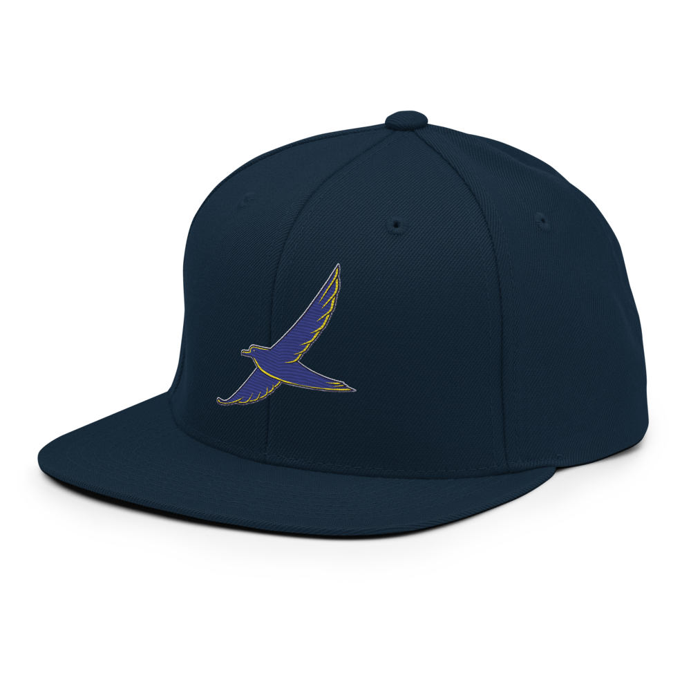 classic-snapback-dark-navy-left-front-68b5ffd9d2270.png