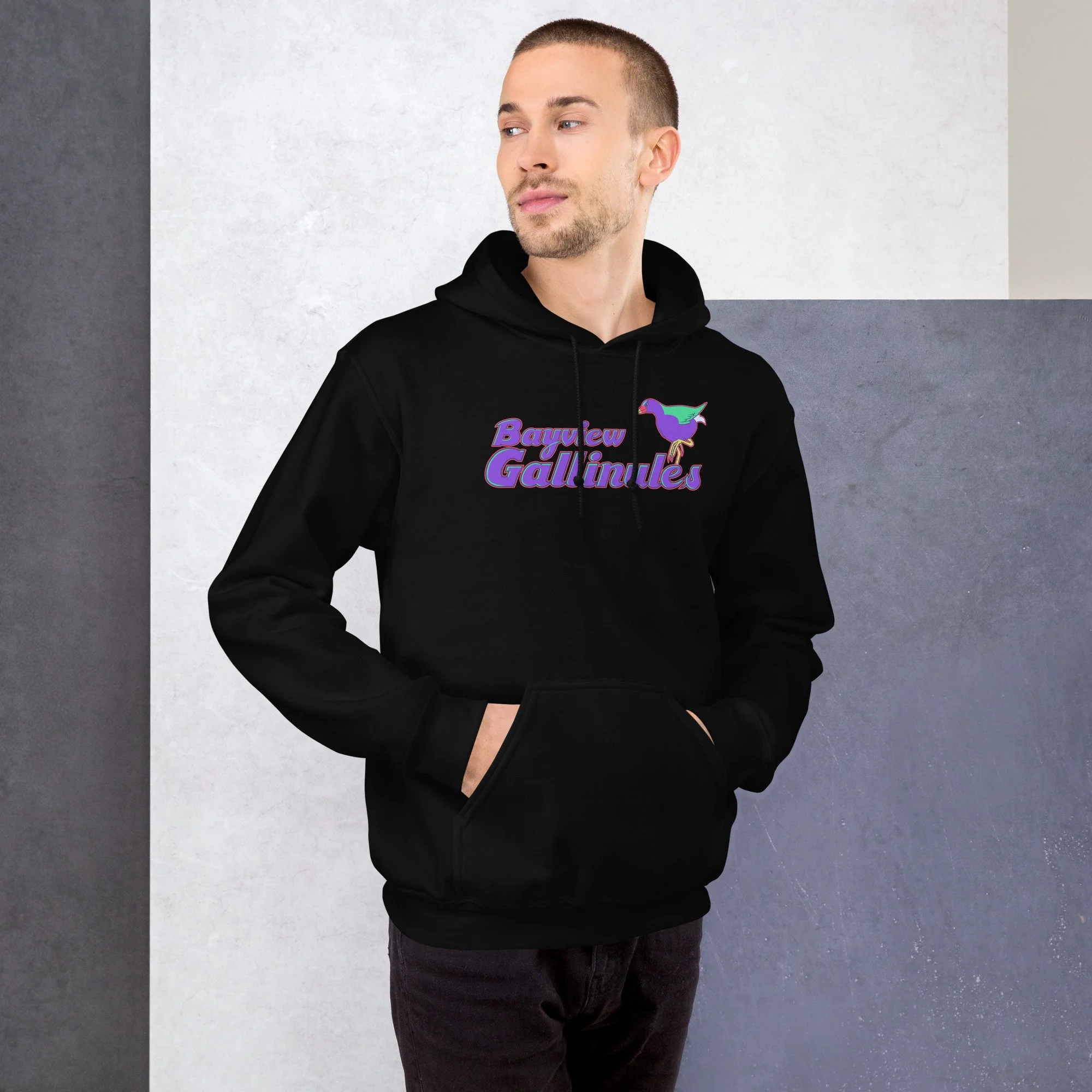 unisex-heavy-blend-hoodie-black-front-68b72844d112e.jpg