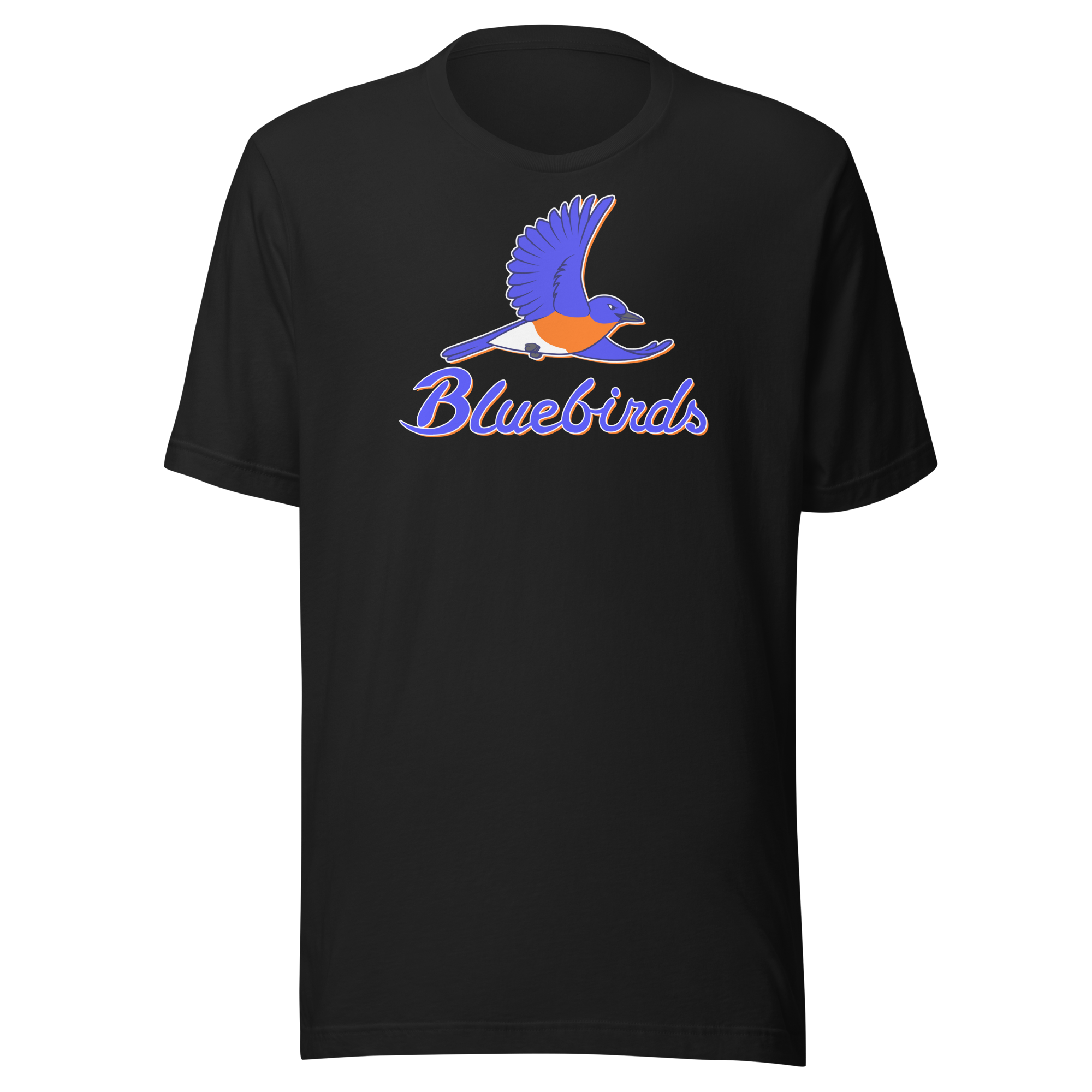 unisex-staple-t-shirt-vintage-black-front-68b622e559fbe.png