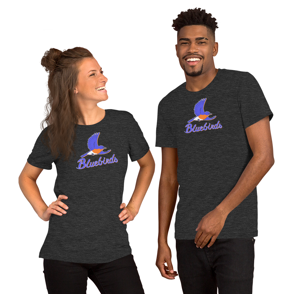 unisex-staple-t-shirt-dark-grey-heather-front-68b622e554b63.png