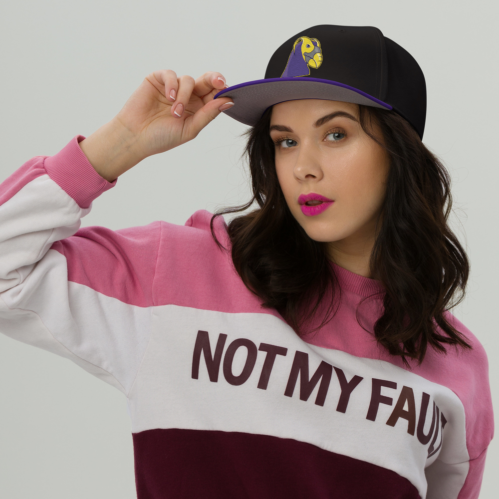 snapback-purple-black-black-front-68b5faf8c2b33.png