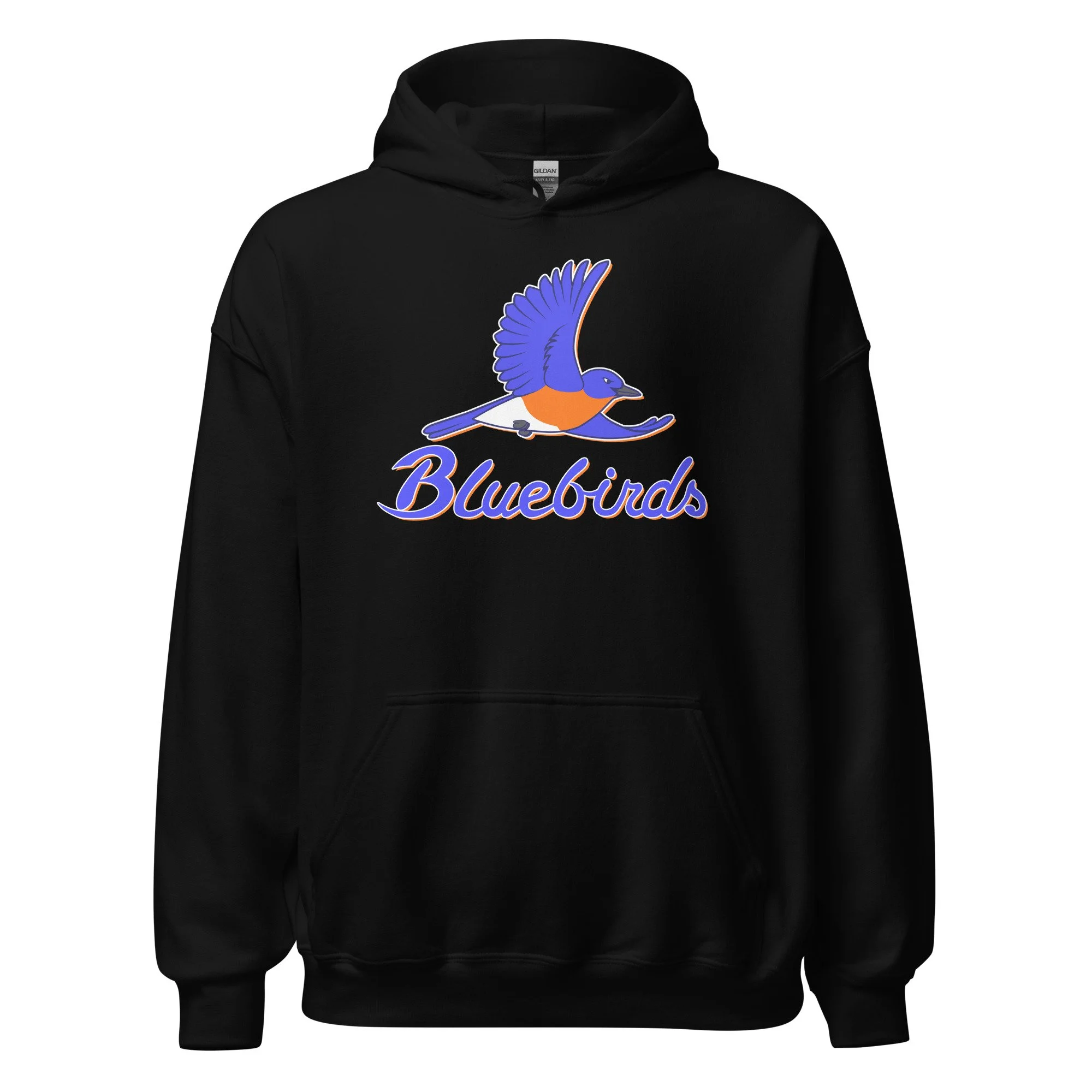 unisex-heavy-blend-hoodie-black-front-68b63defb8405.jpg