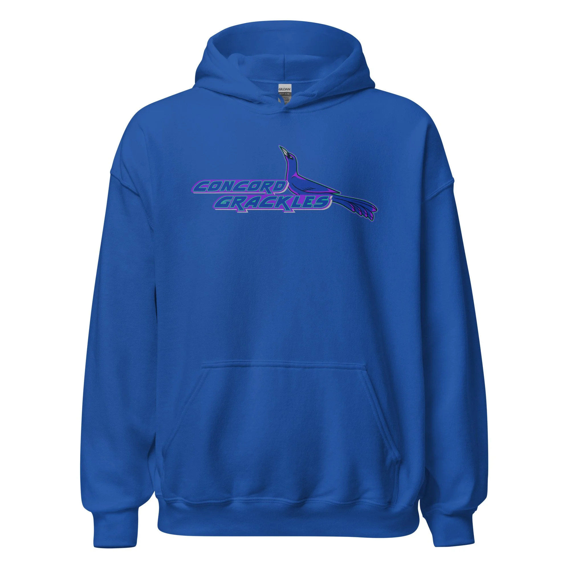 unisex-heavy-blend-hoodie-royal-front-68b662990bd2f.jpg