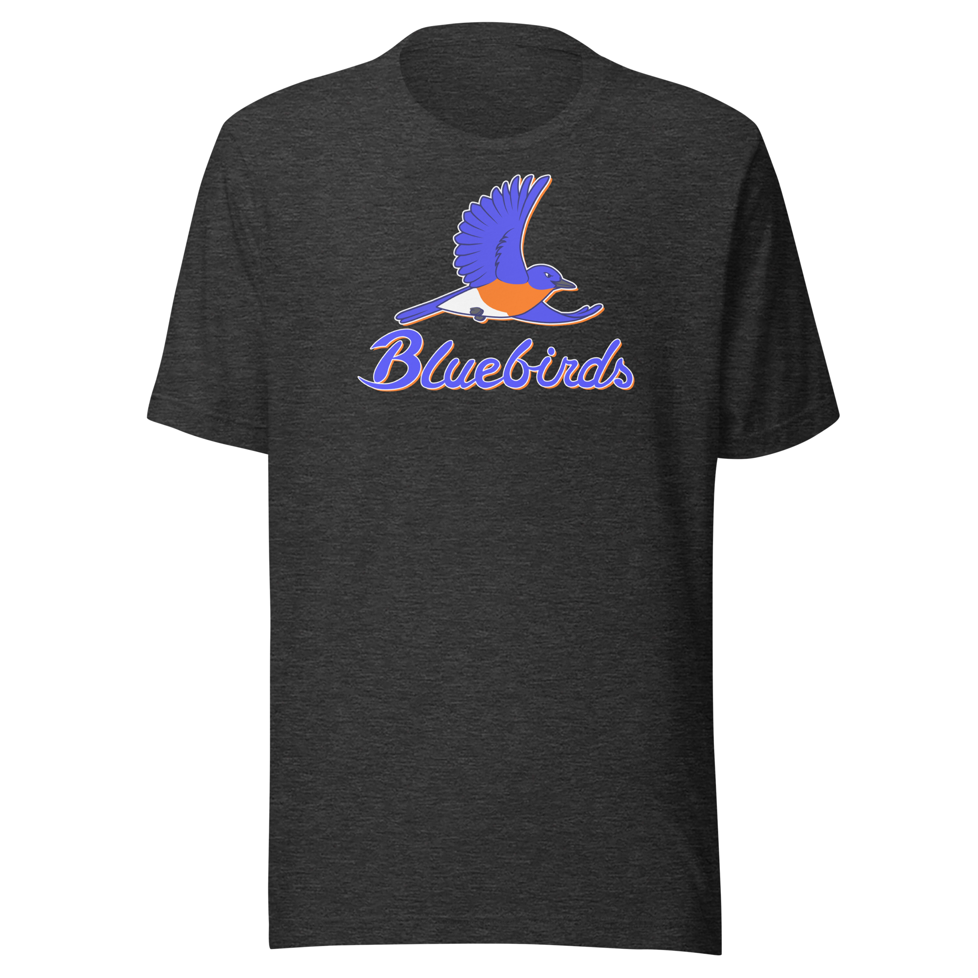 unisex-staple-t-shirt-dark-grey-heather-front-68b622e5597f5.png