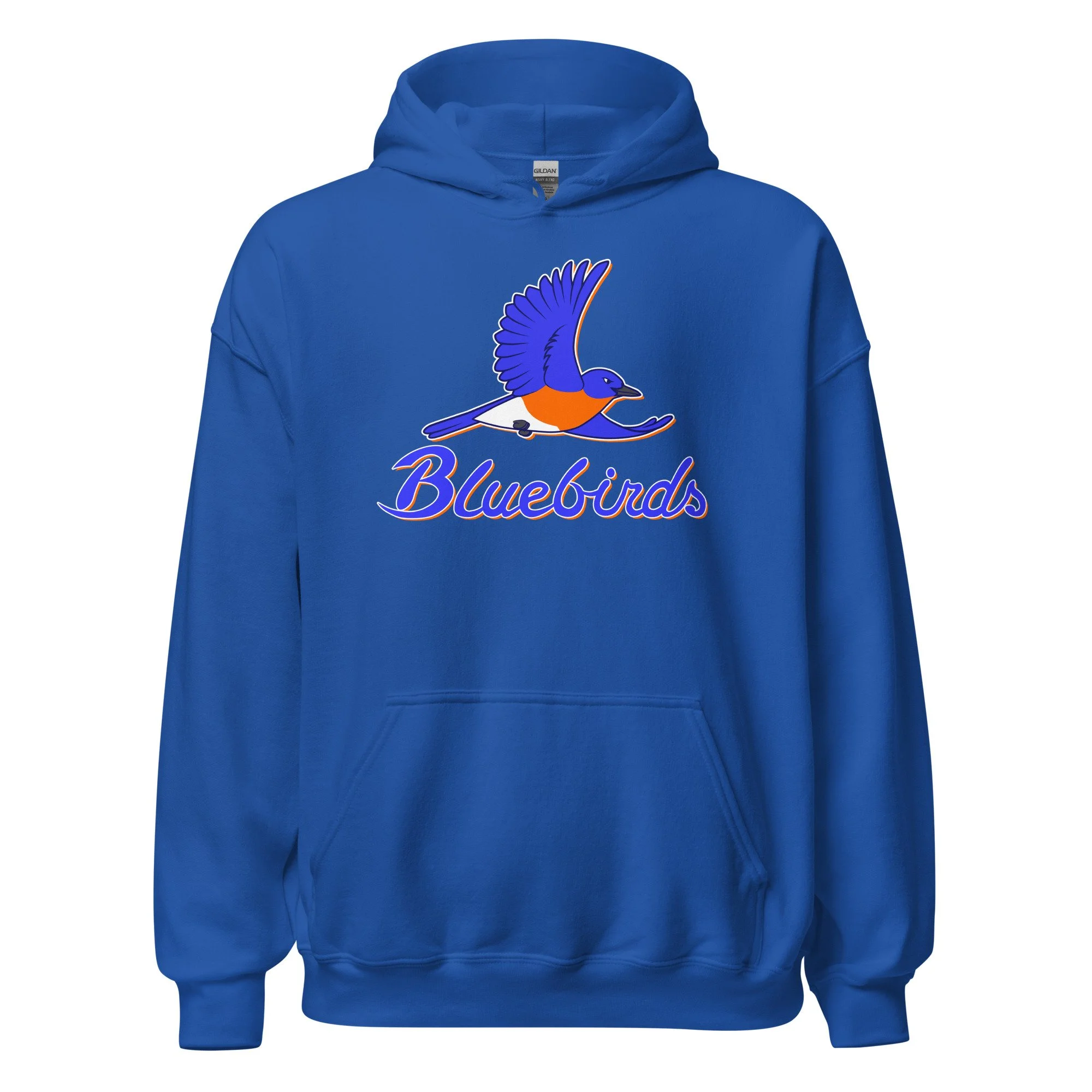 unisex-heavy-blend-hoodie-royal-front-68b63defb89d7.jpg