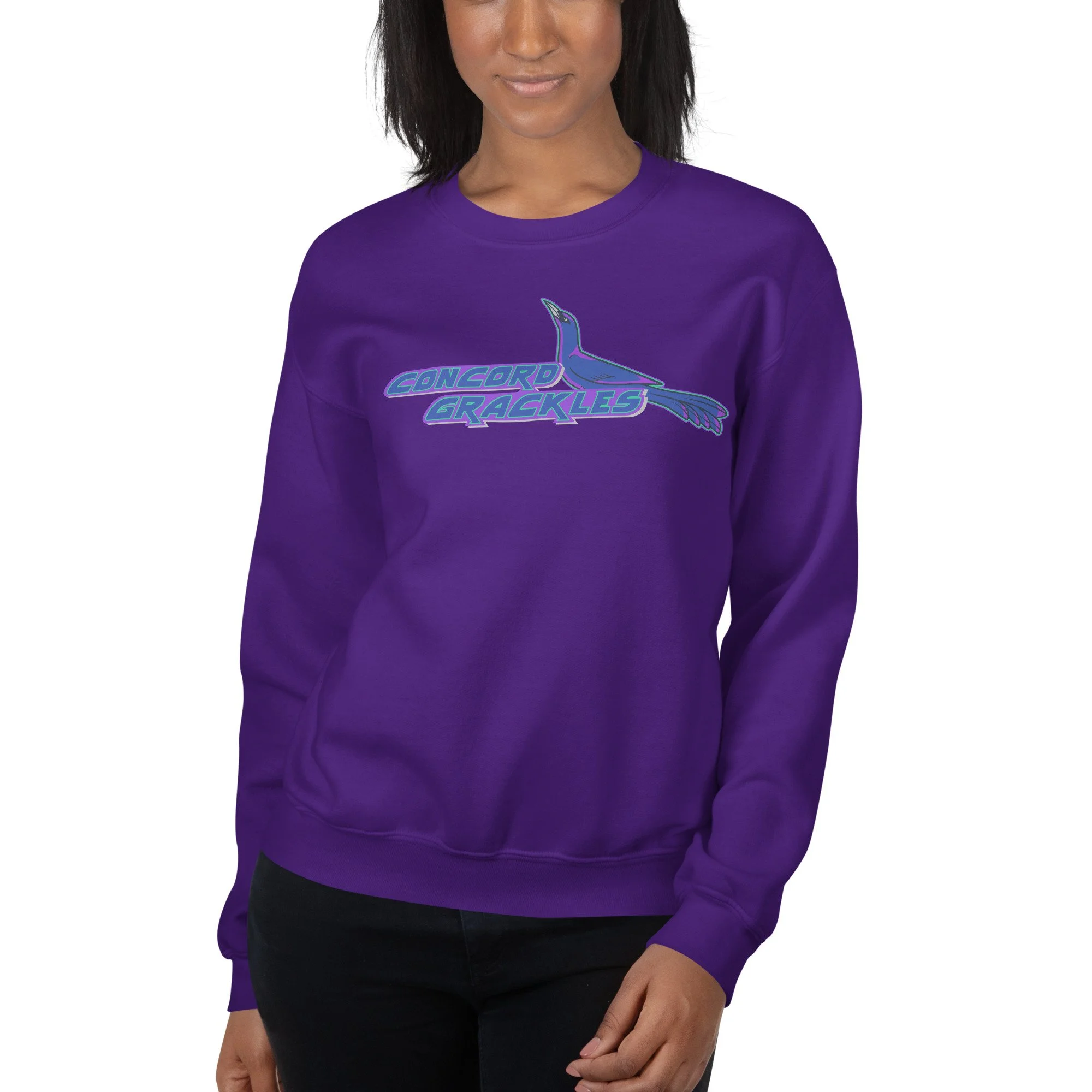 unisex-crew-neck-sweatshirt-purple-front-693c49c0bb65a.jpg
