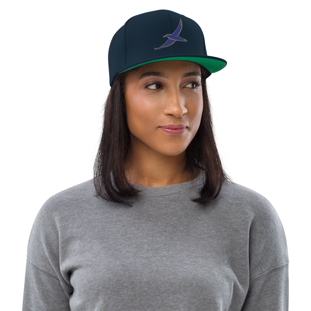classic-snapback-dark-navy-front-68b5ffd9d18ff.png