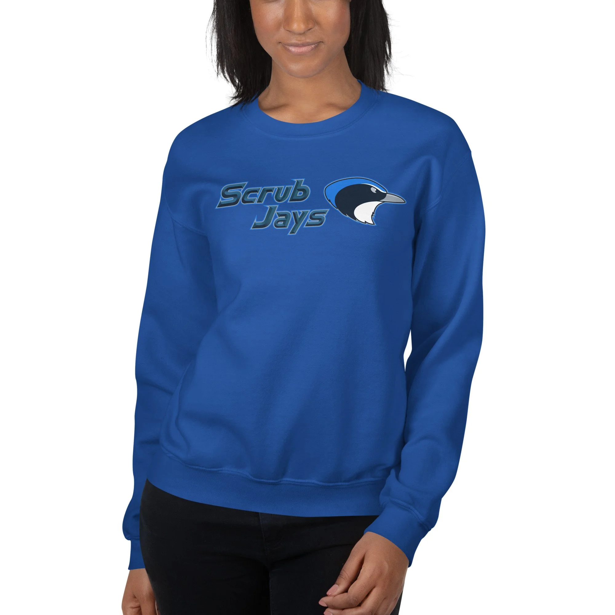 unisex-crew-neck-sweatshirt-royal-front-695c4a0f18c78.jpg