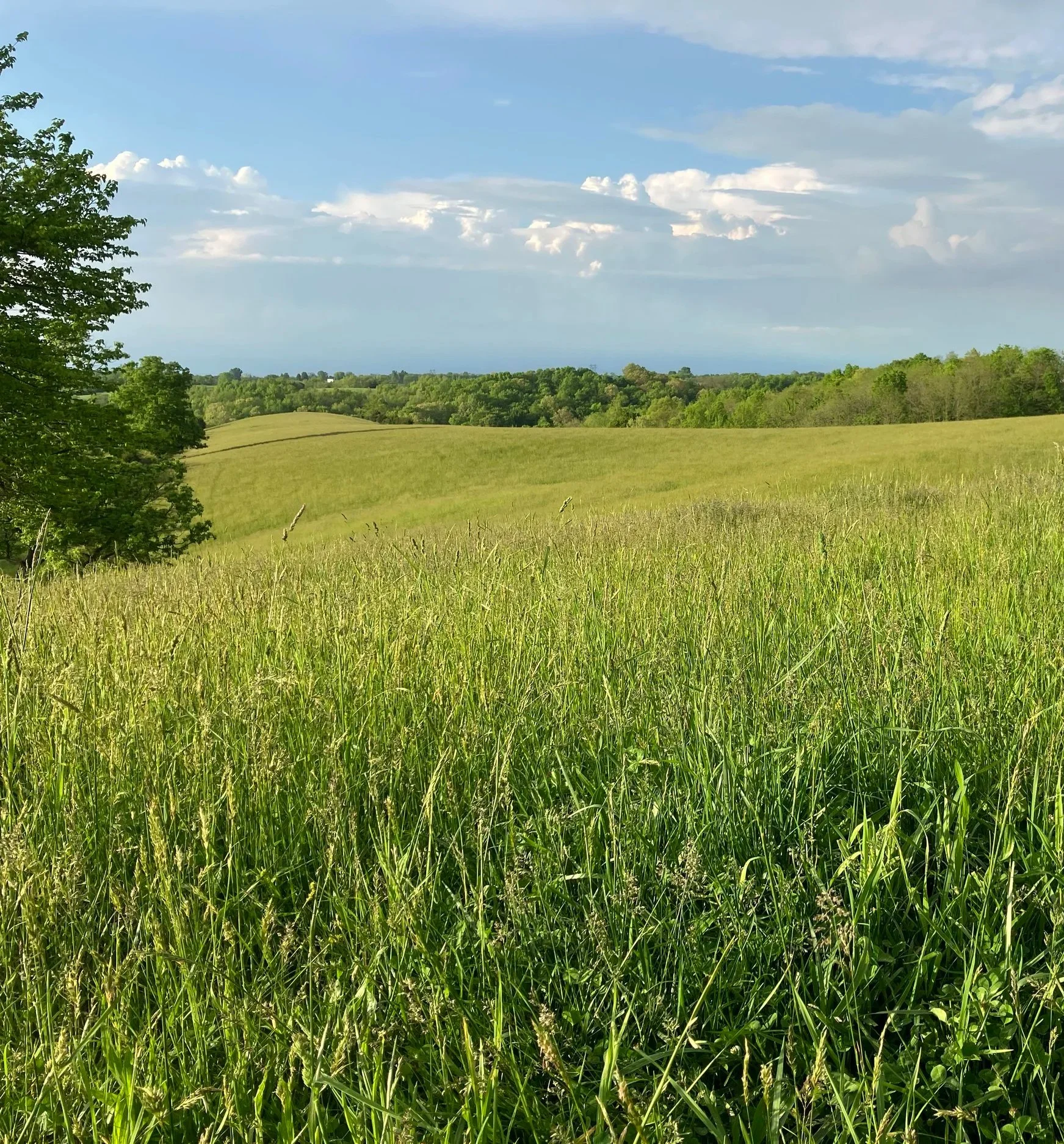 A wide view of green grassy field under a partly cloudy sky with distant trees and hills.