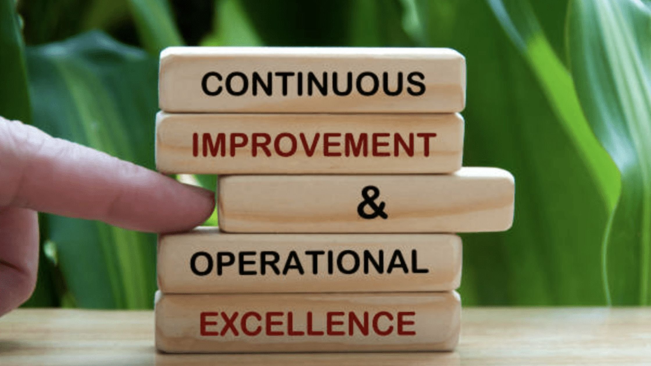 ANHCO 2025 Continuous Improvement Process