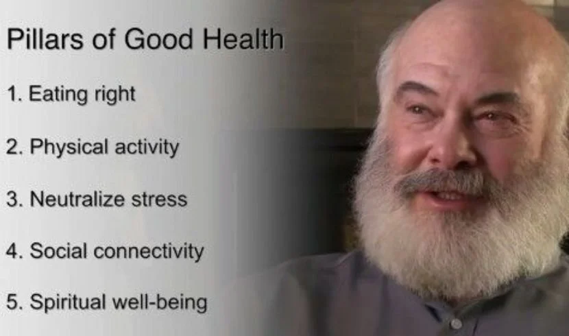 Mastering the Health Pillars for Sustainable Lifestyle Coaching Success