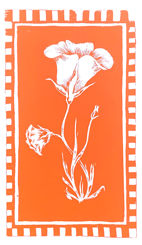 orangepoppyprint.png