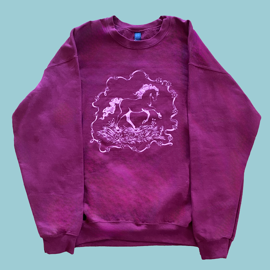 horsesweatshirtphotowebcopy.png
