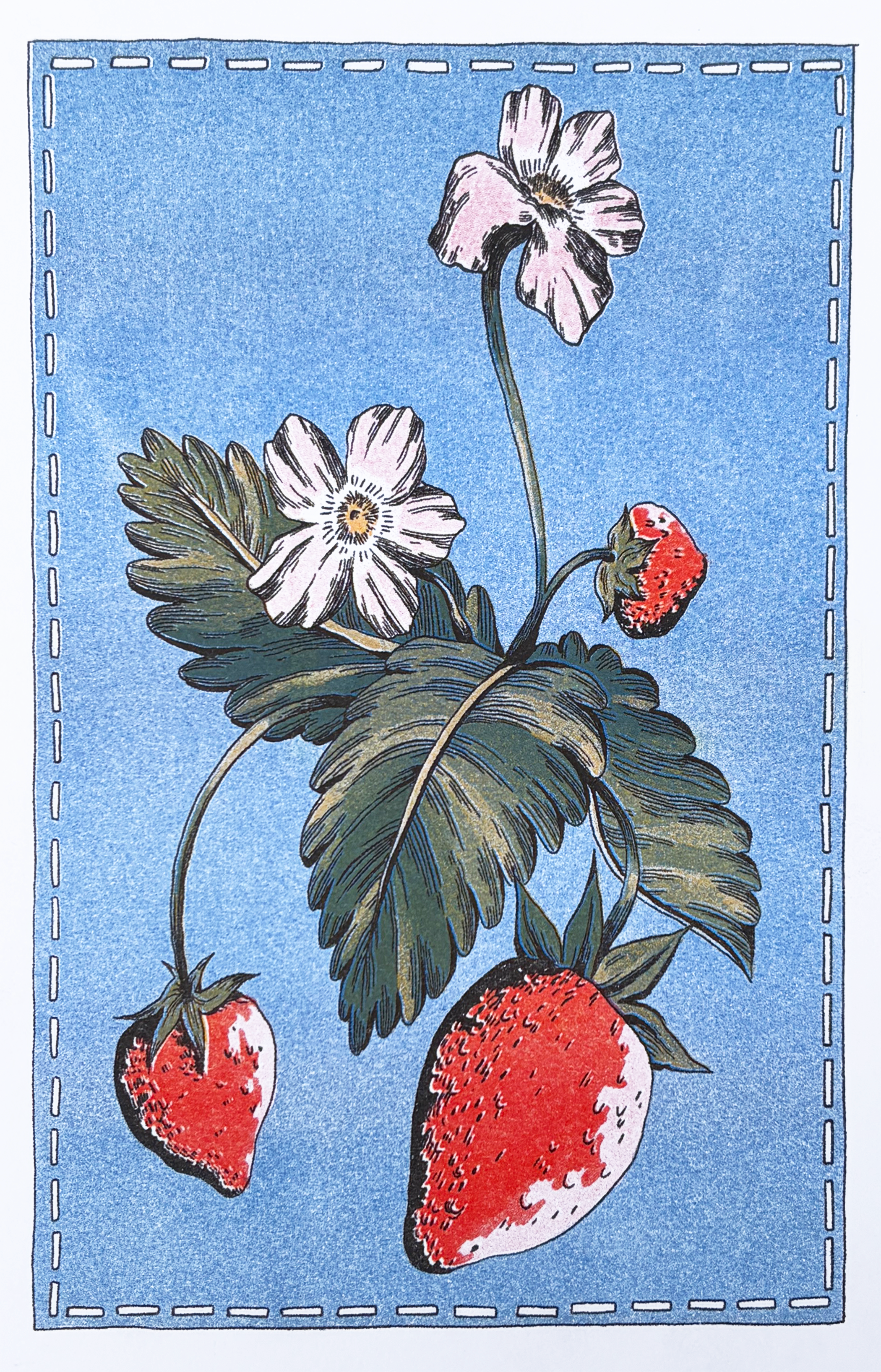 Strawberries II