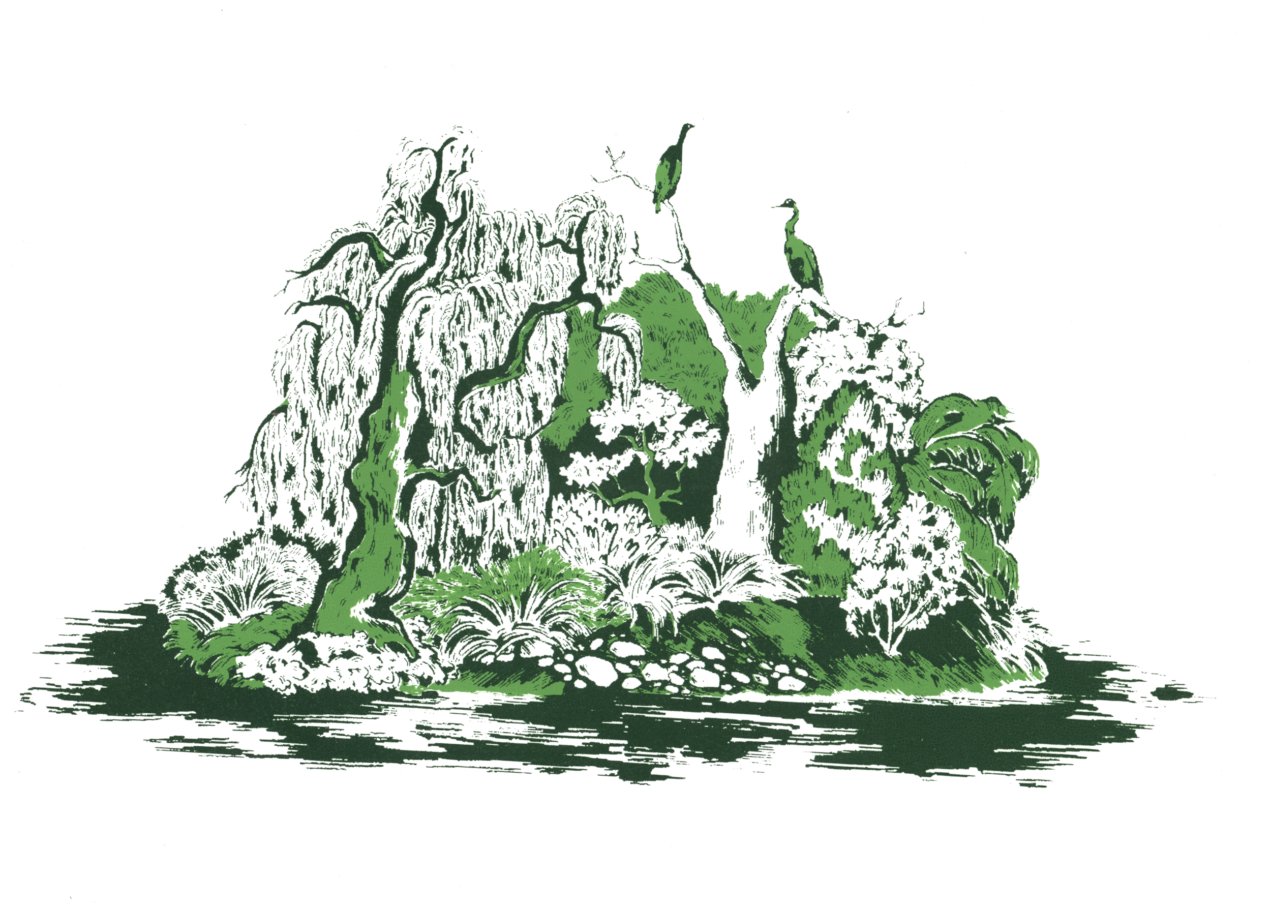 Bird Island