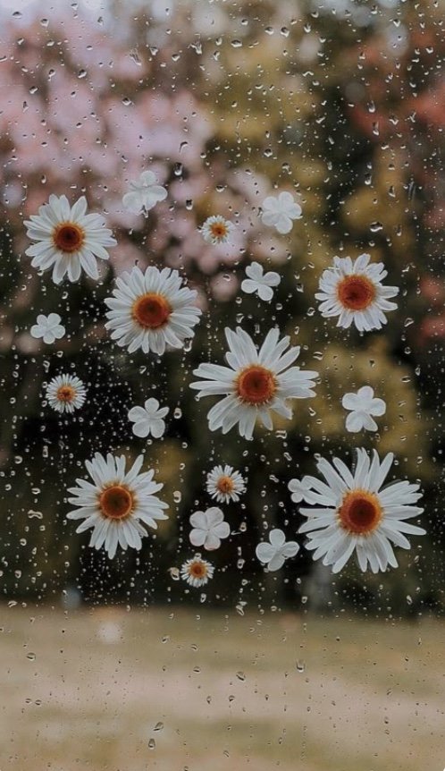 Image 2-22-25 at 5.26 PM.jpeg