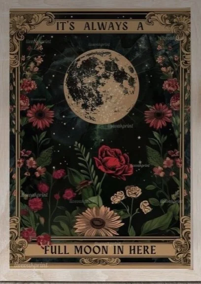 Image 12-3-25 at 10.54 PM.jpeg