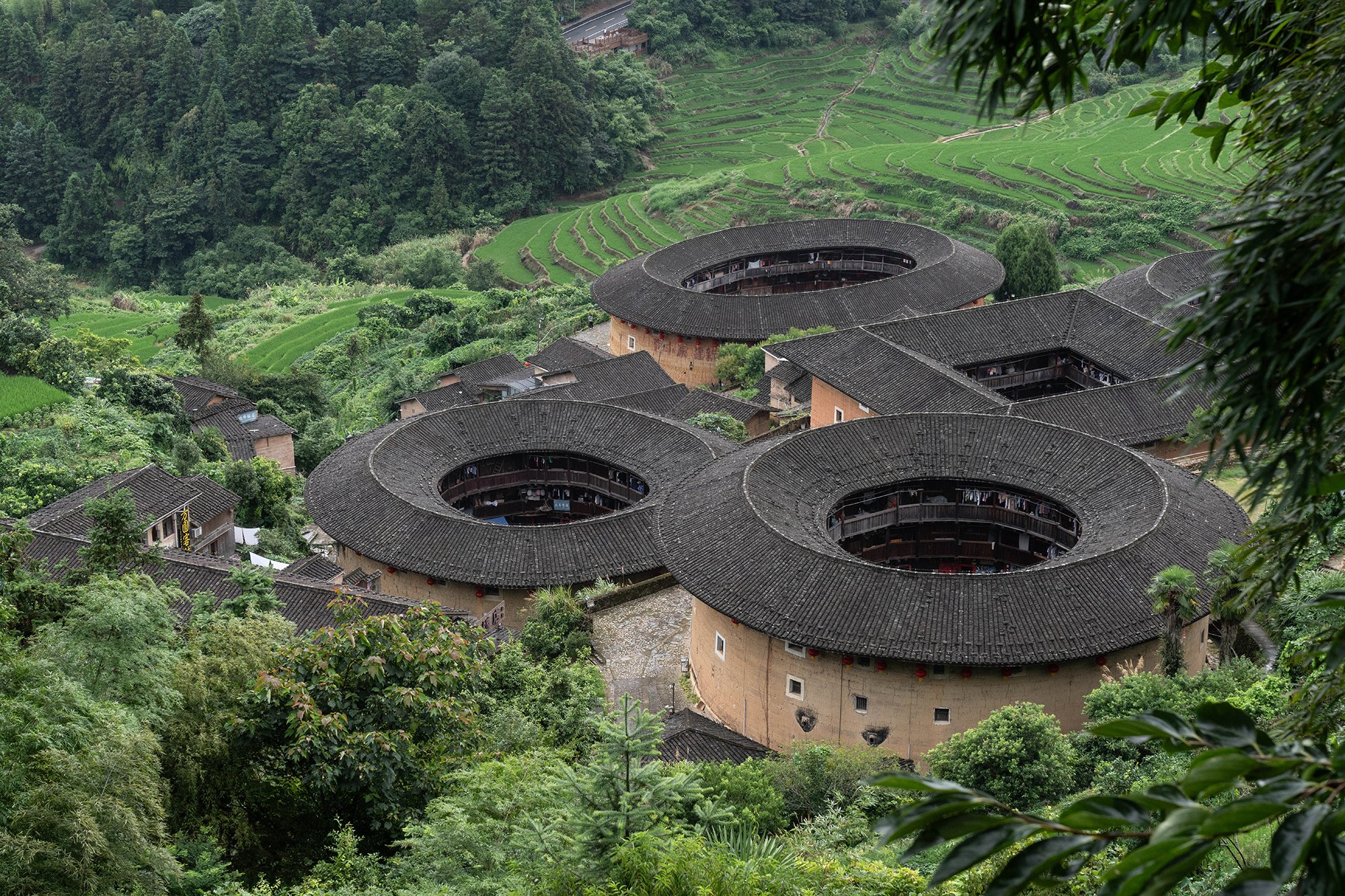 BEN_fujian_aug2023_19.jpg