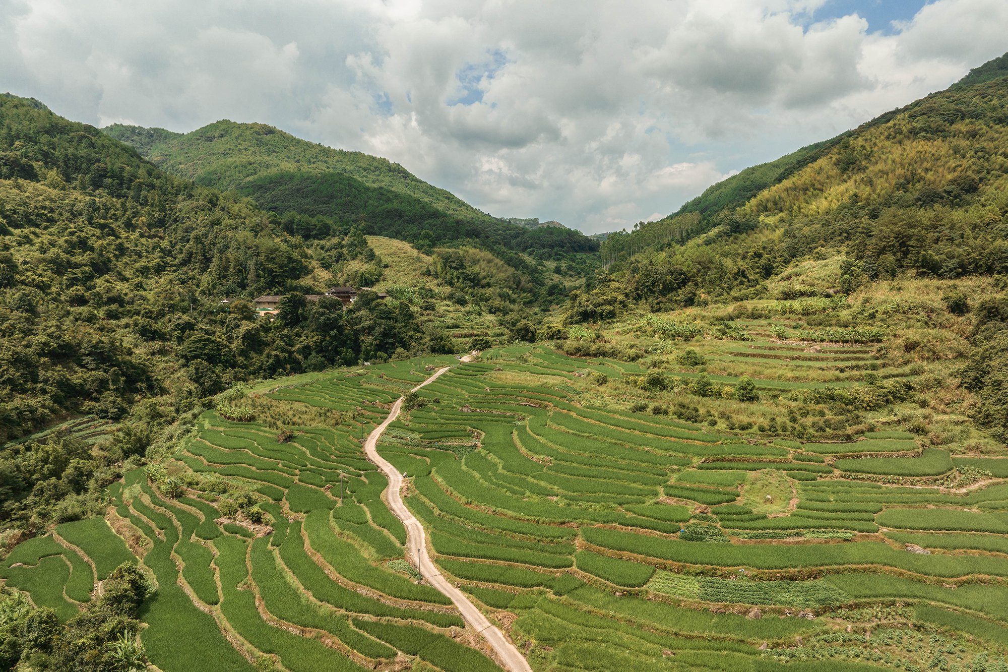 DJI_fujian_aug2023_163.jpg