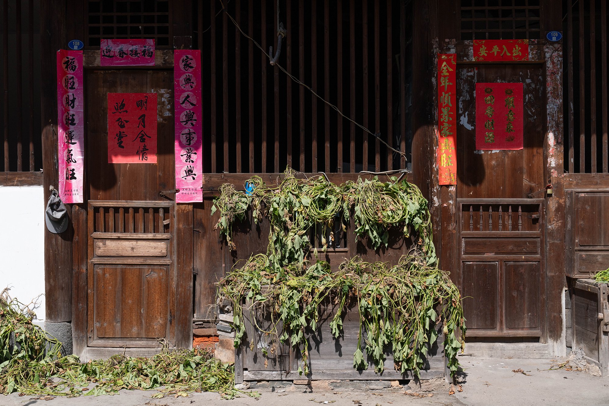 BEN_fujian_aug2023_2968.jpg