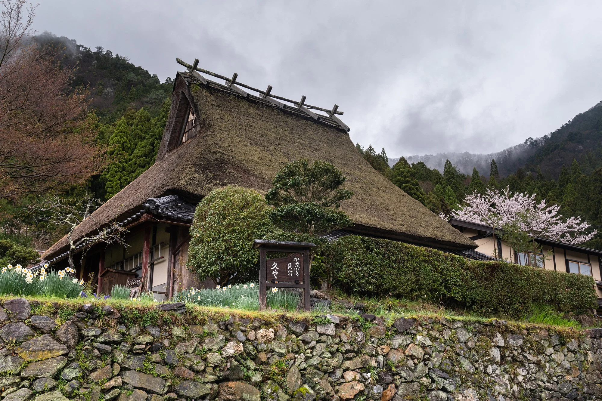 BEN_nt_miyama_apr_2024_464.jpg