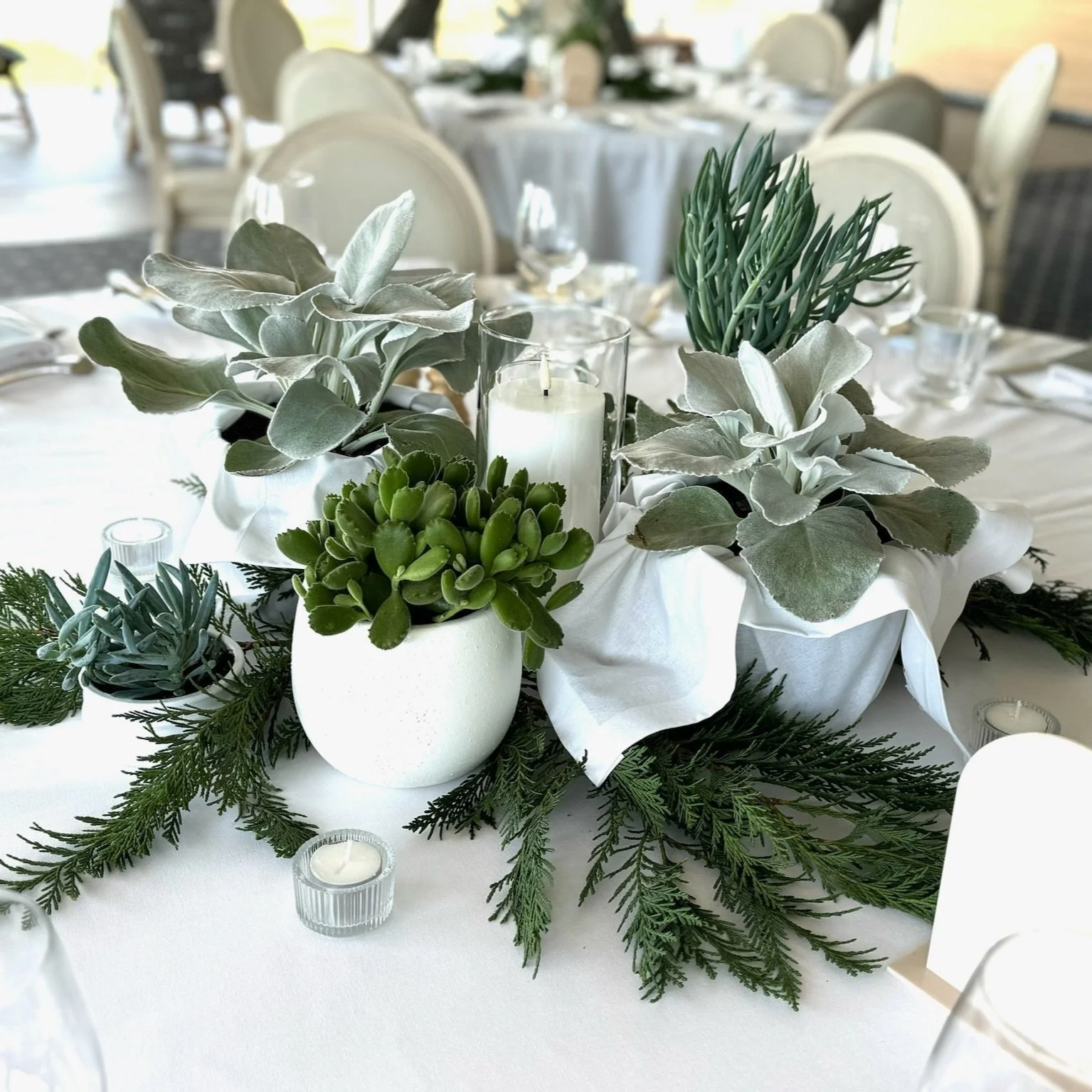 Long-term indoor plant hire with tropical greenery for professional corporate events in Sydney