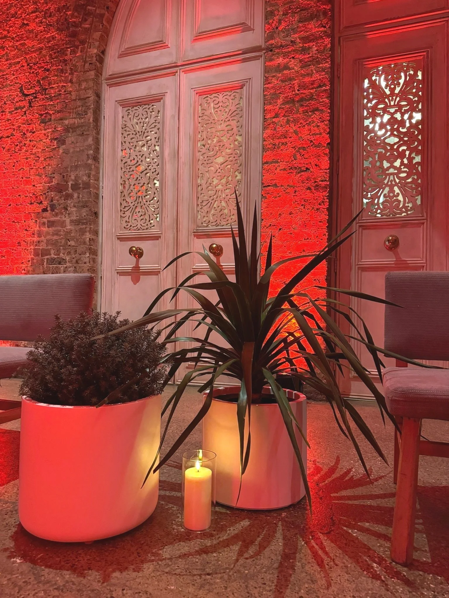 Lush tropical plants and outdoor pots for wedding styling, short-term indoor and outdoor plant hire in Sydney