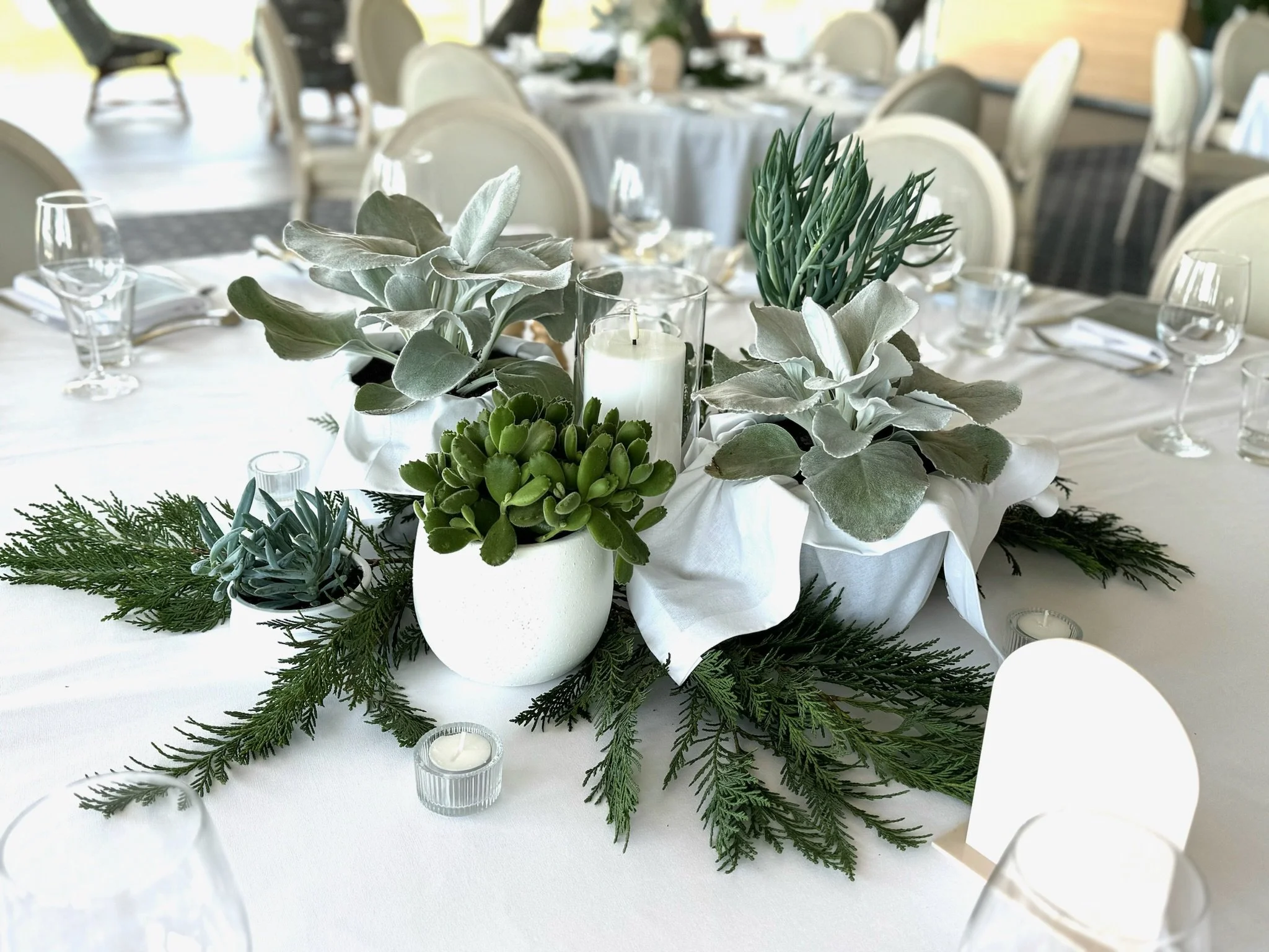Sustainable Event Styling: Why It’s Time to Move Beyond Cut Flowers
