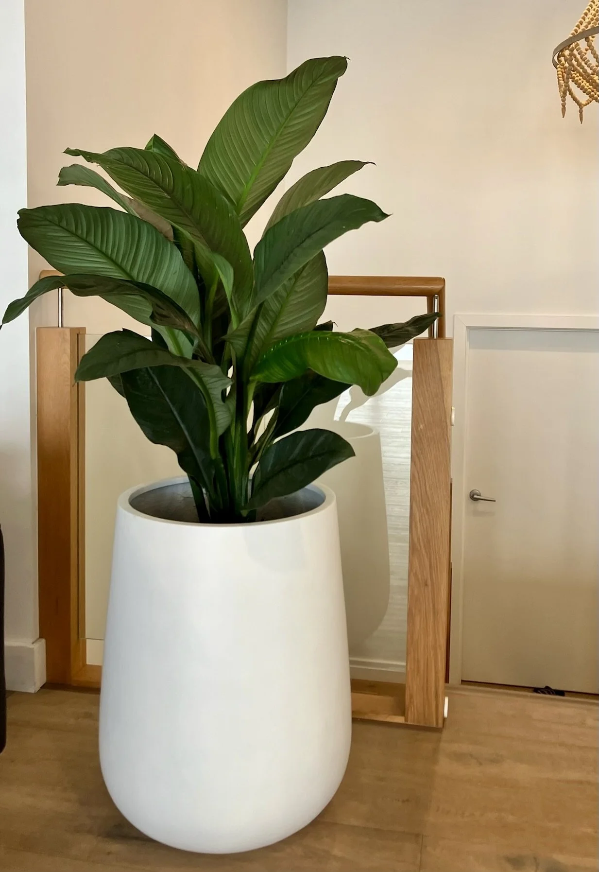 Spath. Sensation  in  meeting rooms