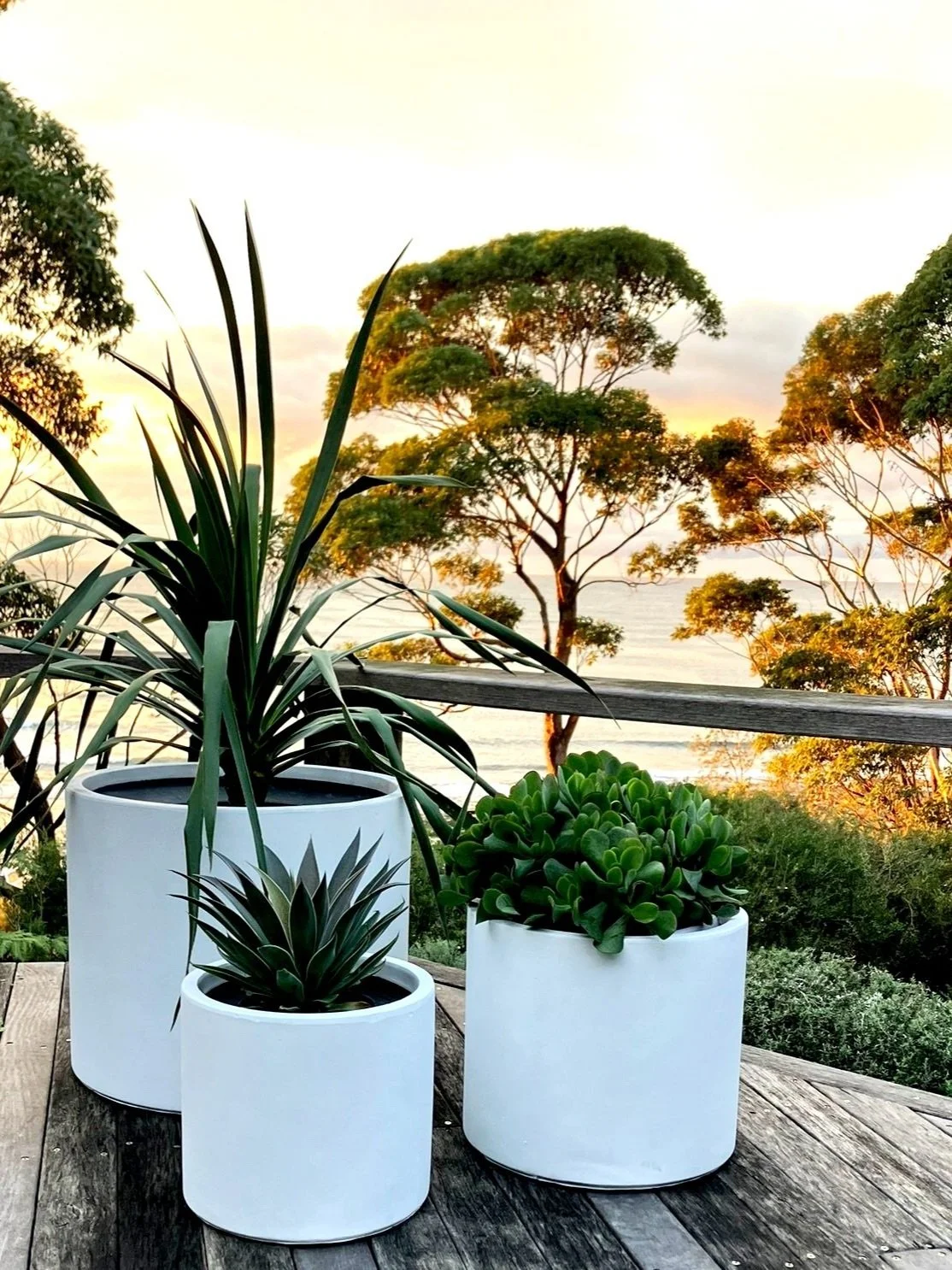 Balcony and small Garden design