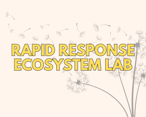 A light tan background with a gray illustration of a dandelion flower in its puff stage, with fluff blowing off as if caught by the wind. Bright yellow text reads RAPID RESPONSE ECOSYSTEM LAB